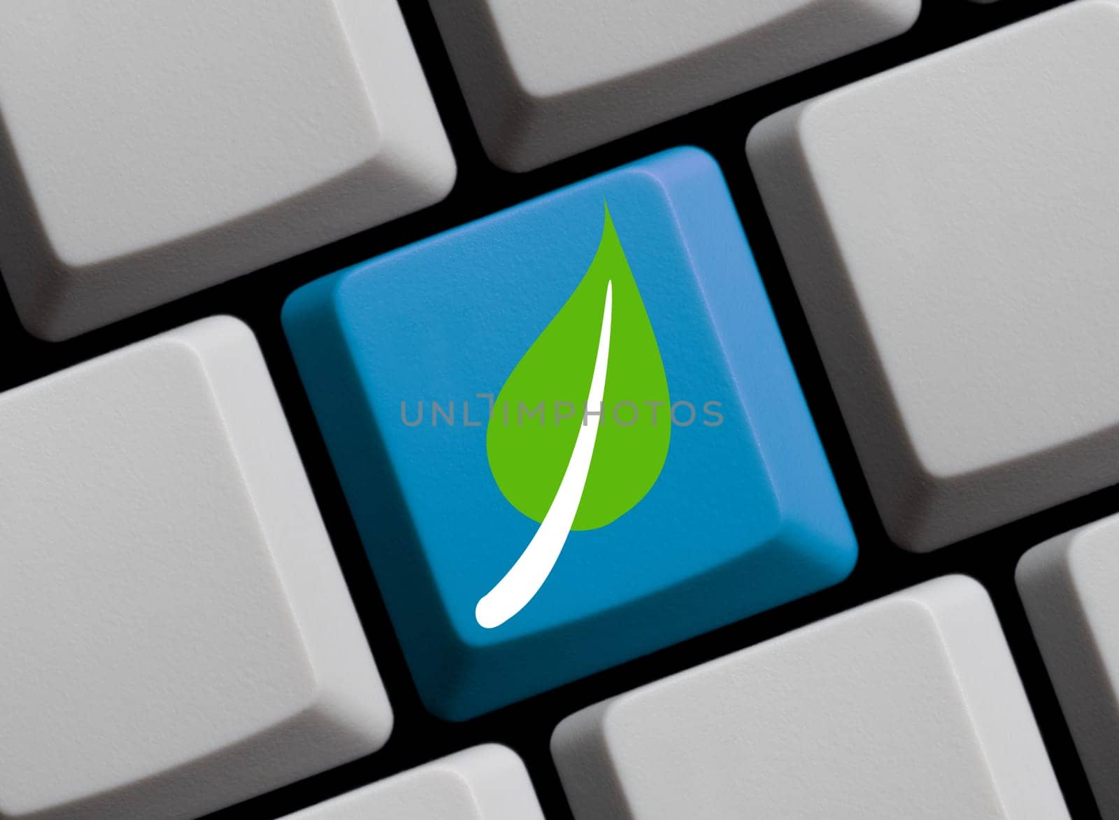 Computer keyboard showing Ecology Concept- 3D illustration