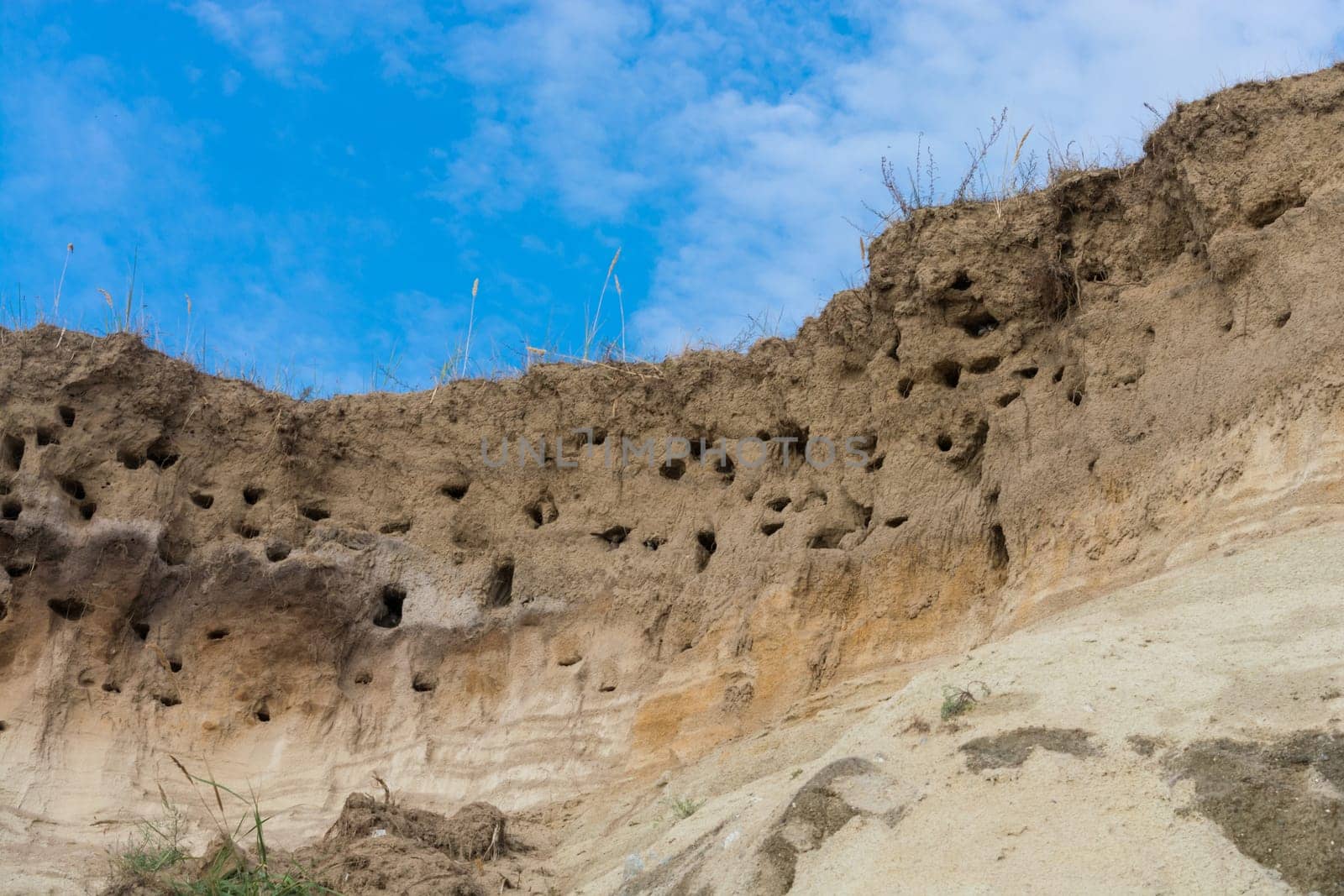 Cliff of Ahrenshoop city on the Baltic Sea peninsula Darss in Germany in summer.