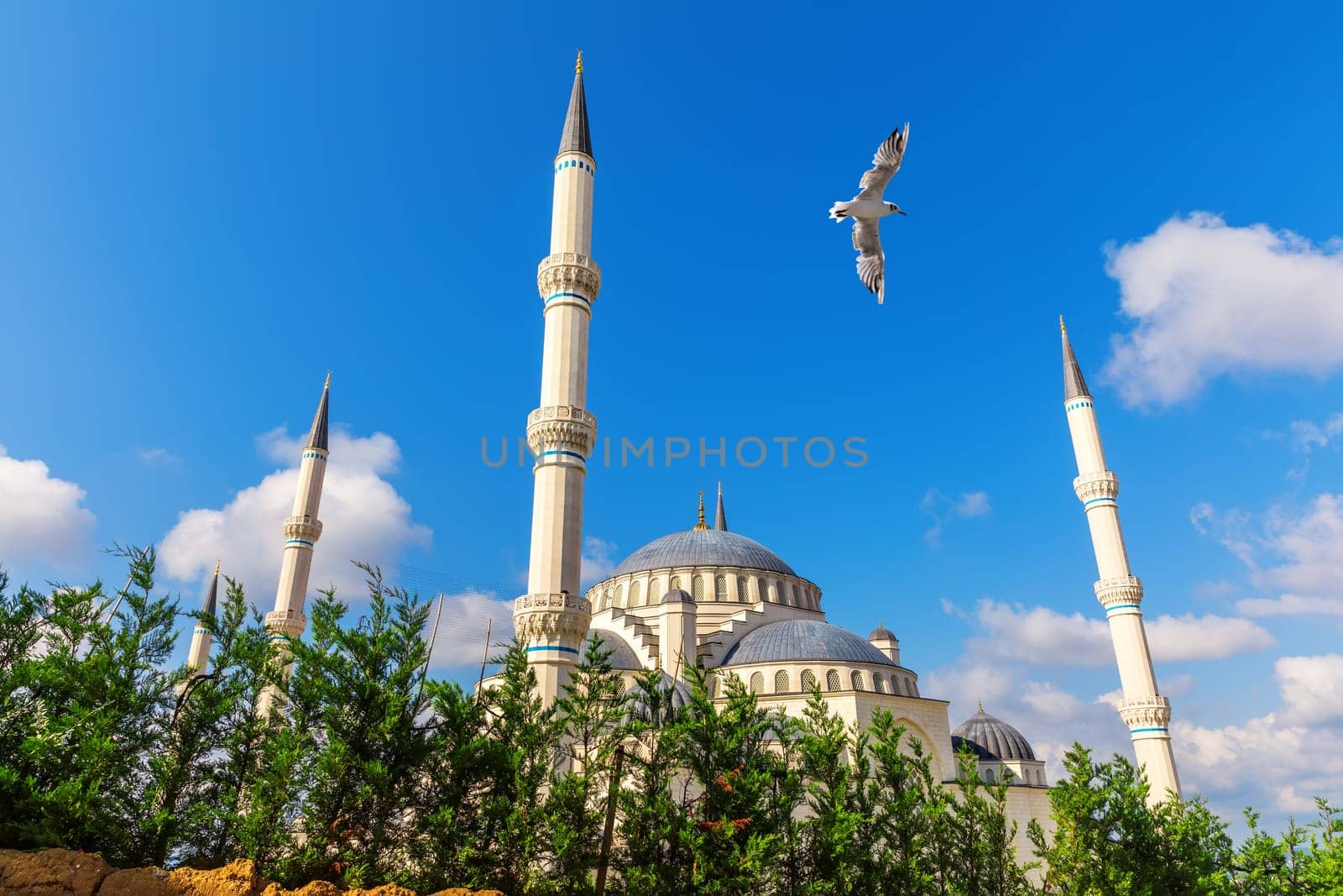 Seagull flies by Gorgeous new mosque of Istanbul, the Camlica Mosque, Turkey.
