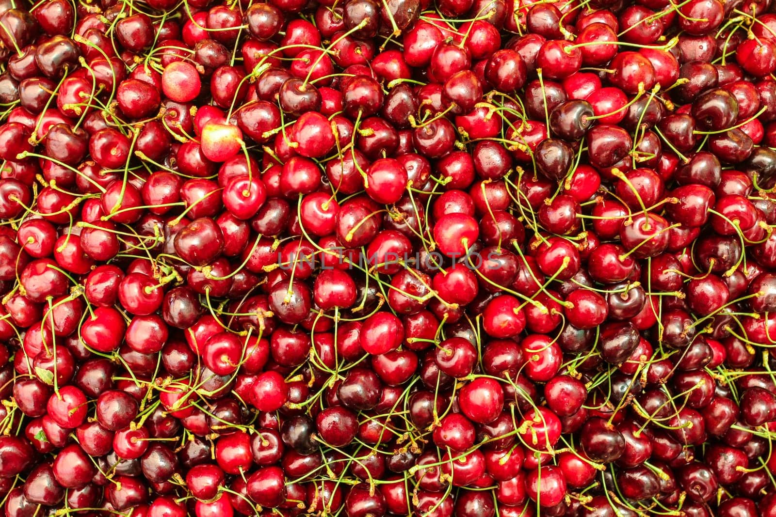 Top view on many red cherry displayed at food market
