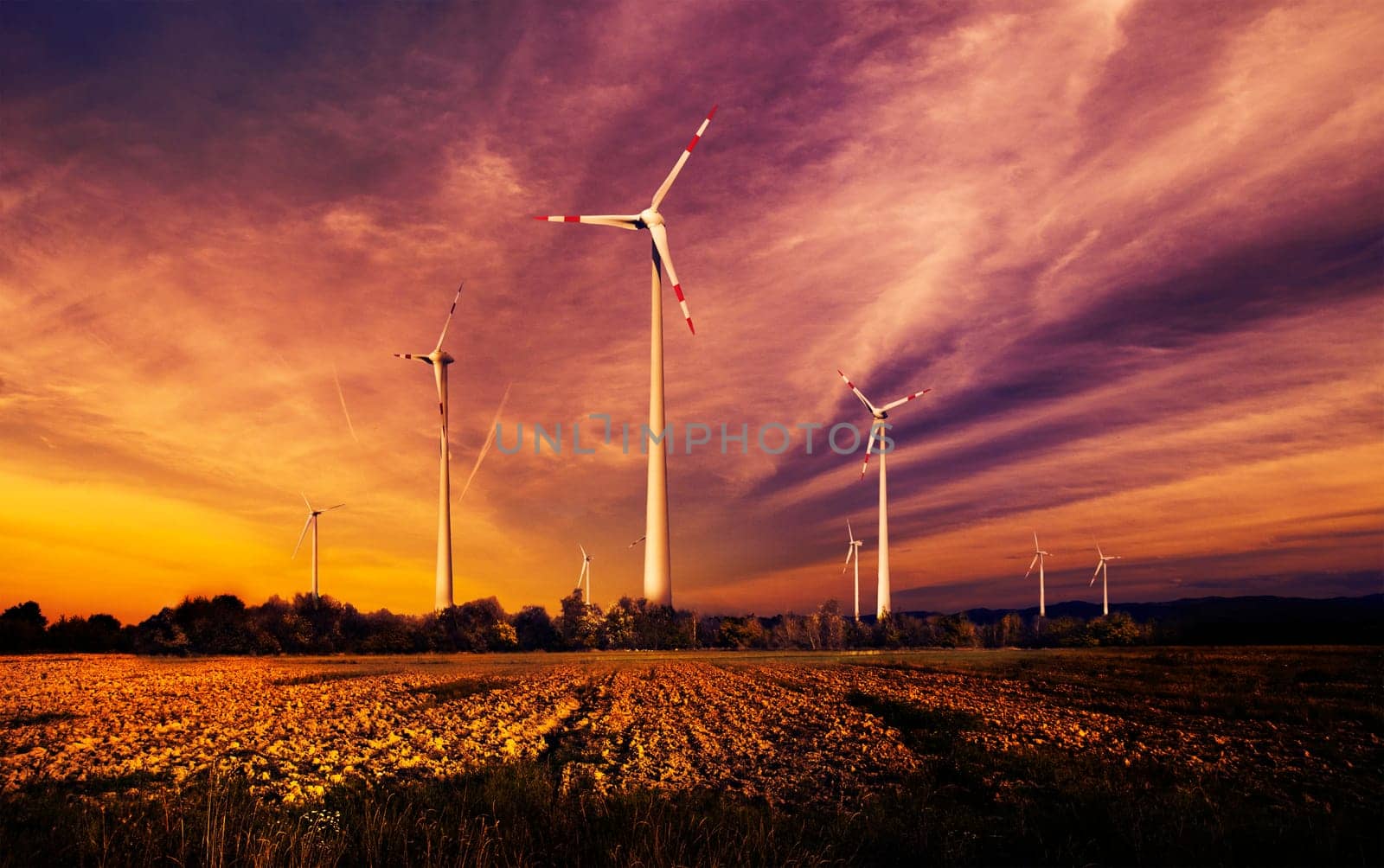 Wind turbines in the field