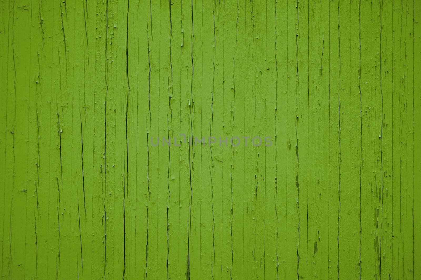 Old weathered wooden planks with green color
