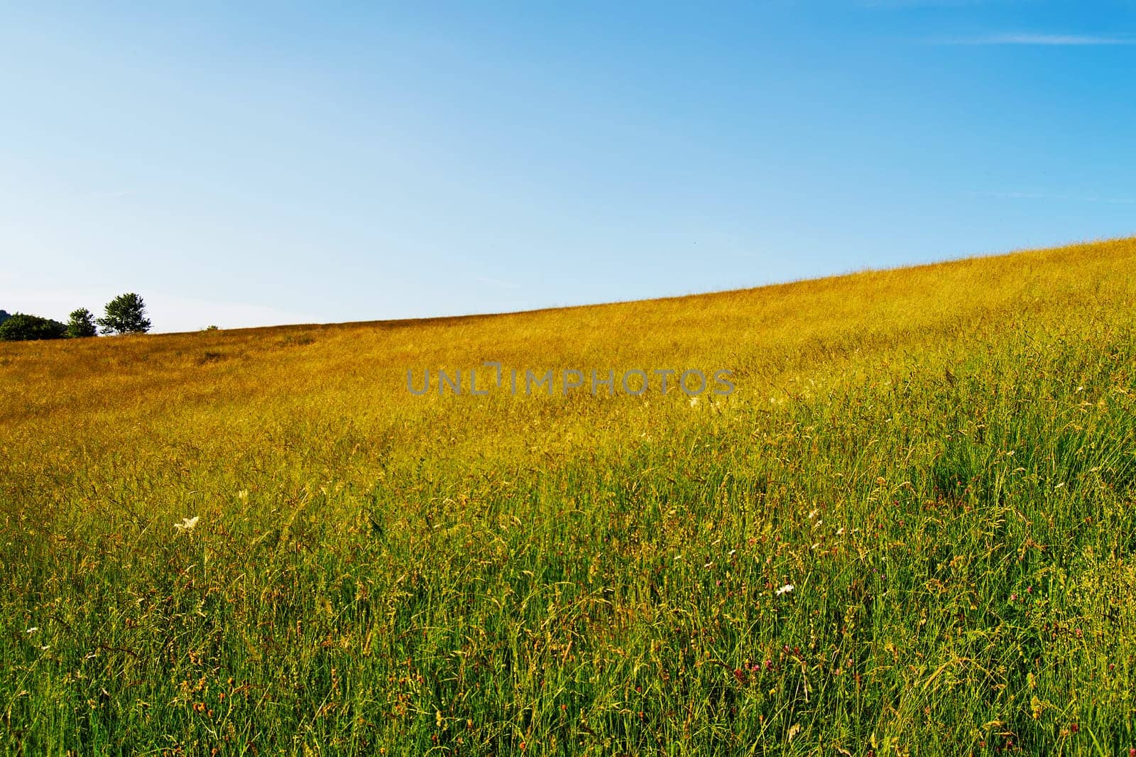 Field in Banska Stiavnica, Slovakia