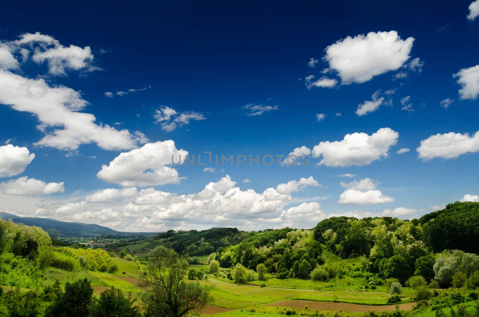 Idyllic landscape with blue sky and green fields