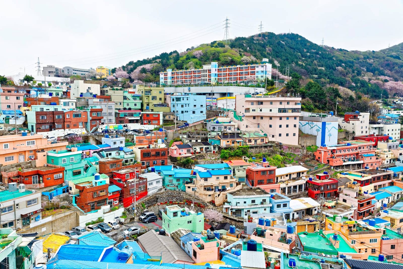 Gamcheon Culture Village, Busan, South Korea.