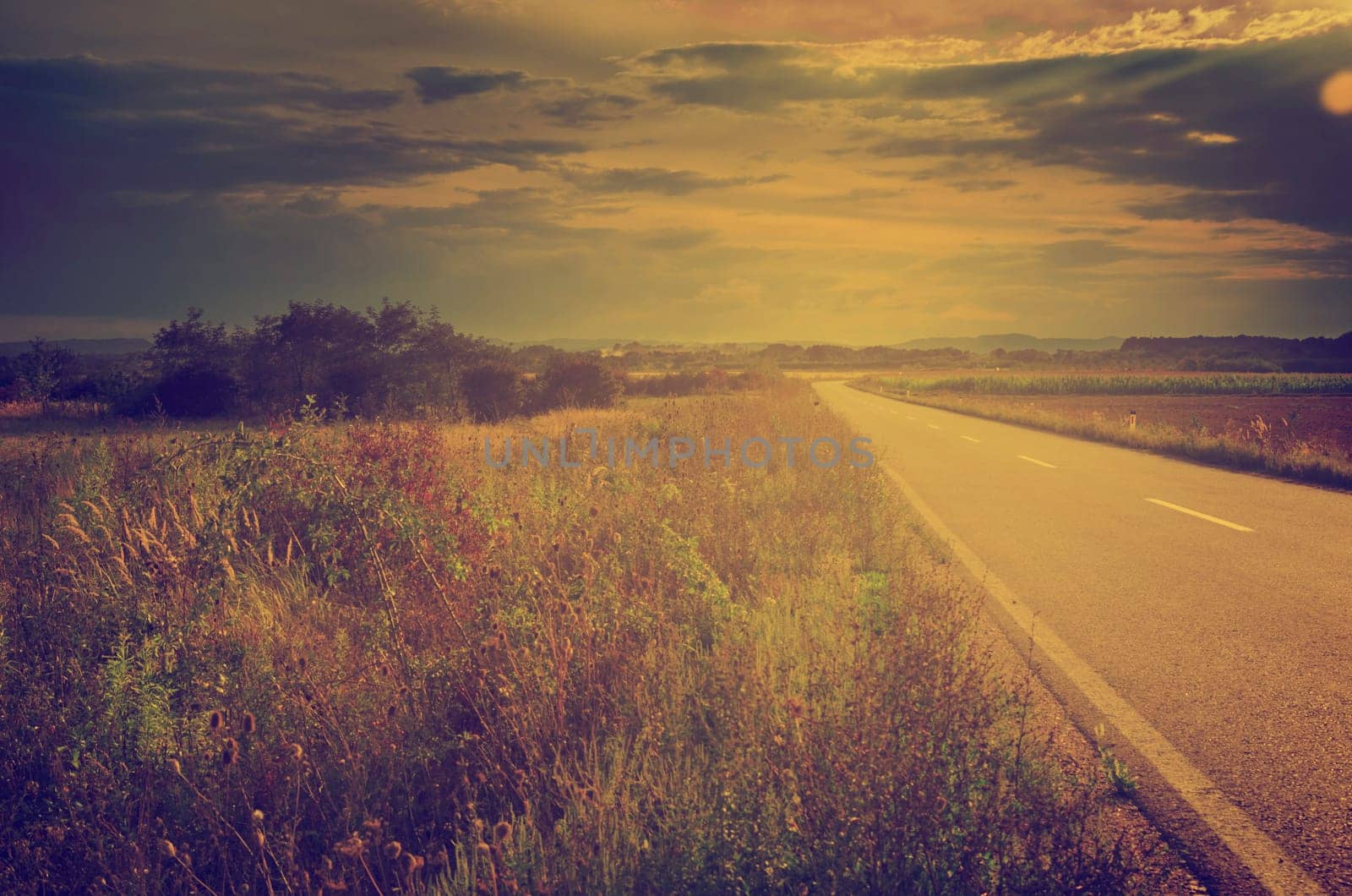 Summer landscape in retro style