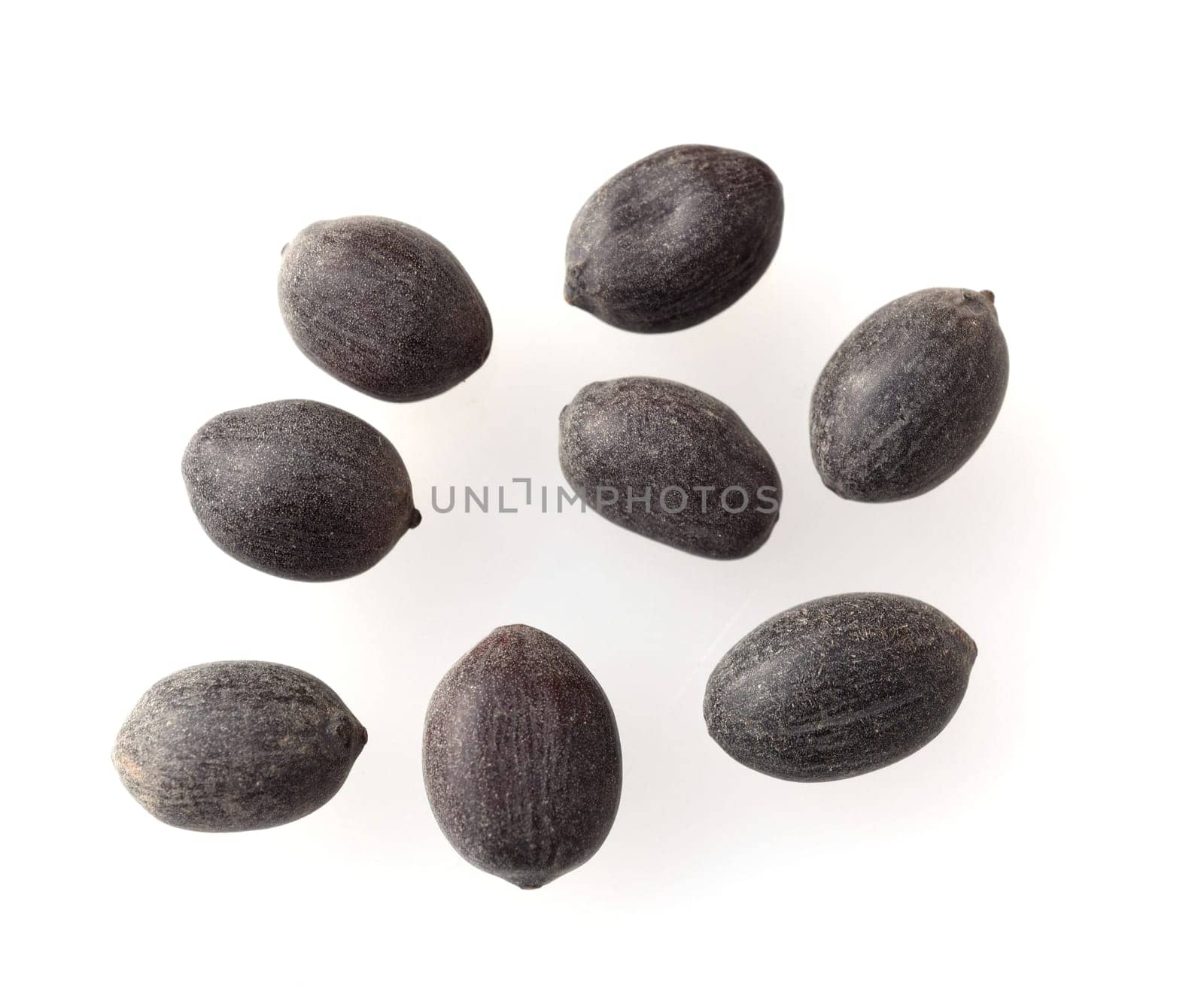 Lotus nucifera lotus seed is edible and can also be used for sowing. Molehills on lawns can leave unsightly marks. Molehills on lawns can leave unsightly marks