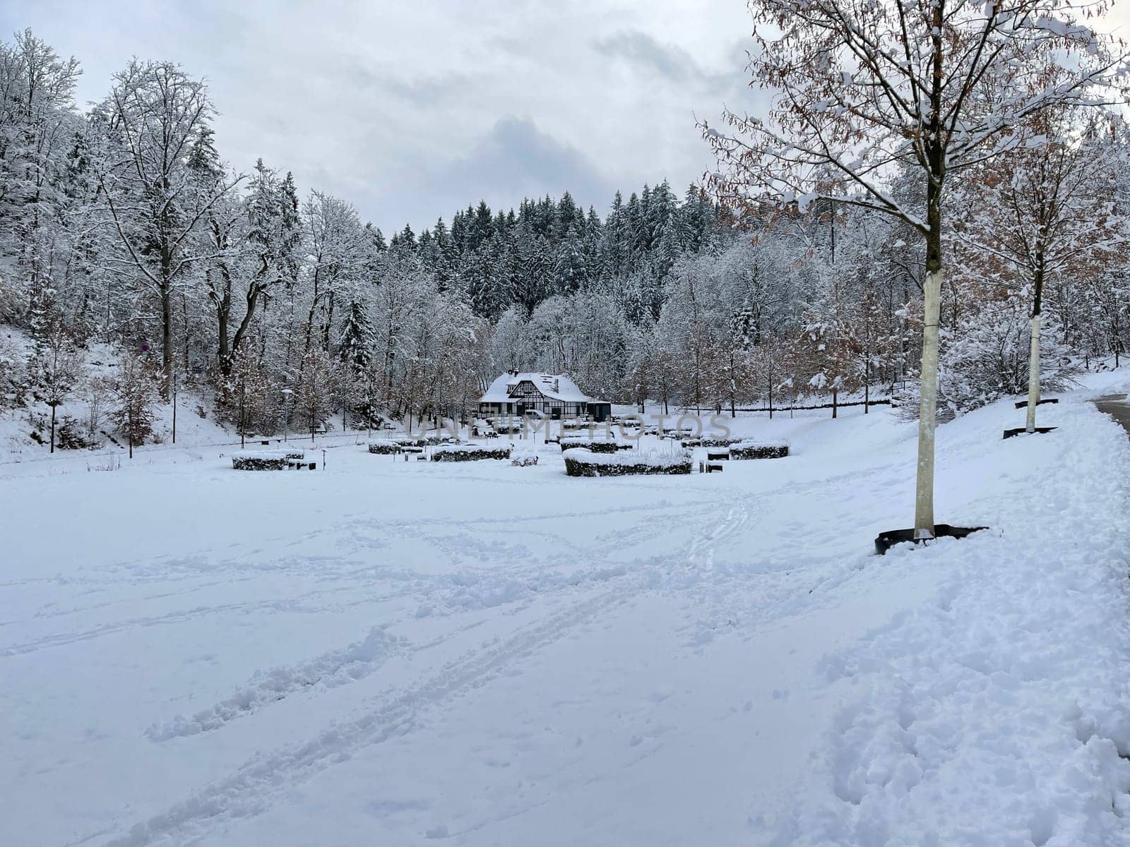 Spa park with fountain in winter,in the spa town of Bad Schwalbach in Hesse. Spa park with fountain in winter,in the spa town of Bad Schwalbach in Hesse.
