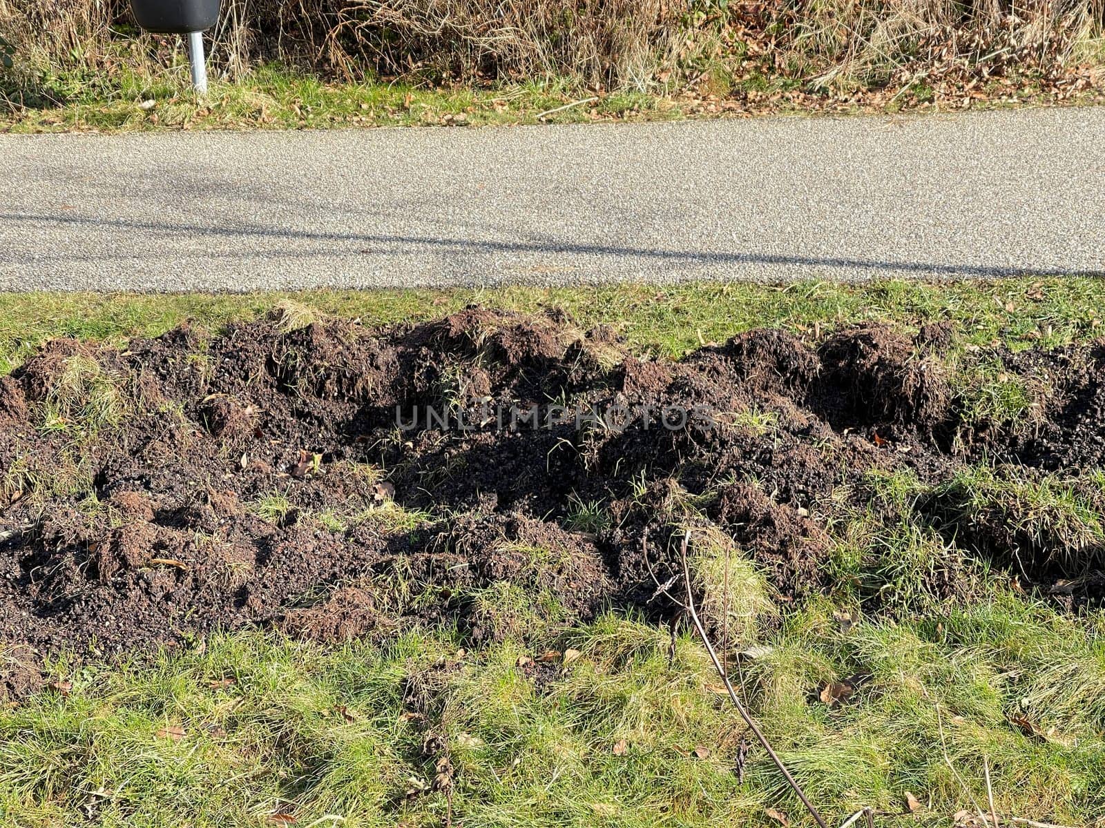 Wild boars can cause great damage in parks,sports grounds and gardens by storming. Wild boars can cause great damage to property in parks,sports fields and gardens by burrowing.