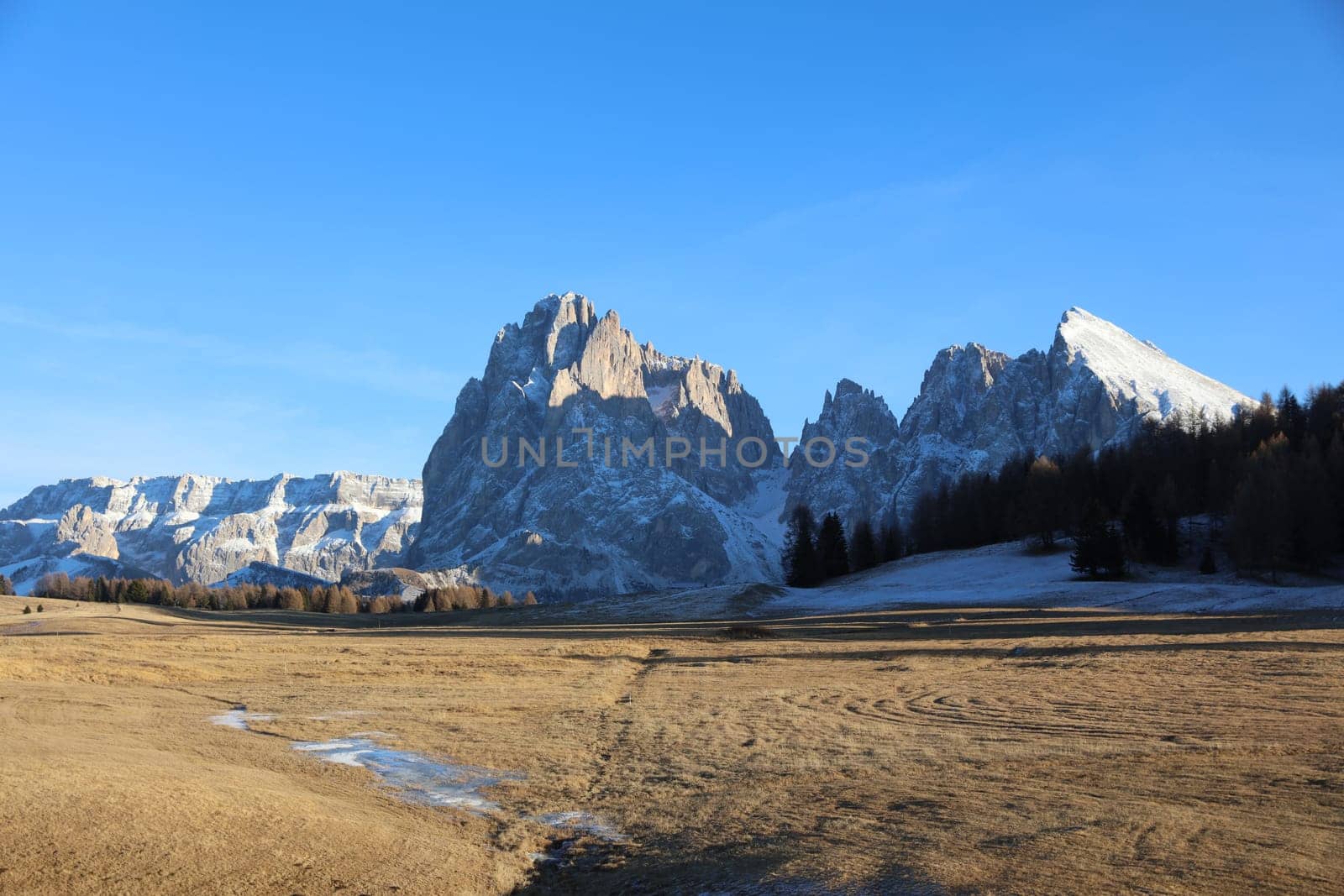 The Seiser Alm in South Tyrol (Alto Adige). Italy
