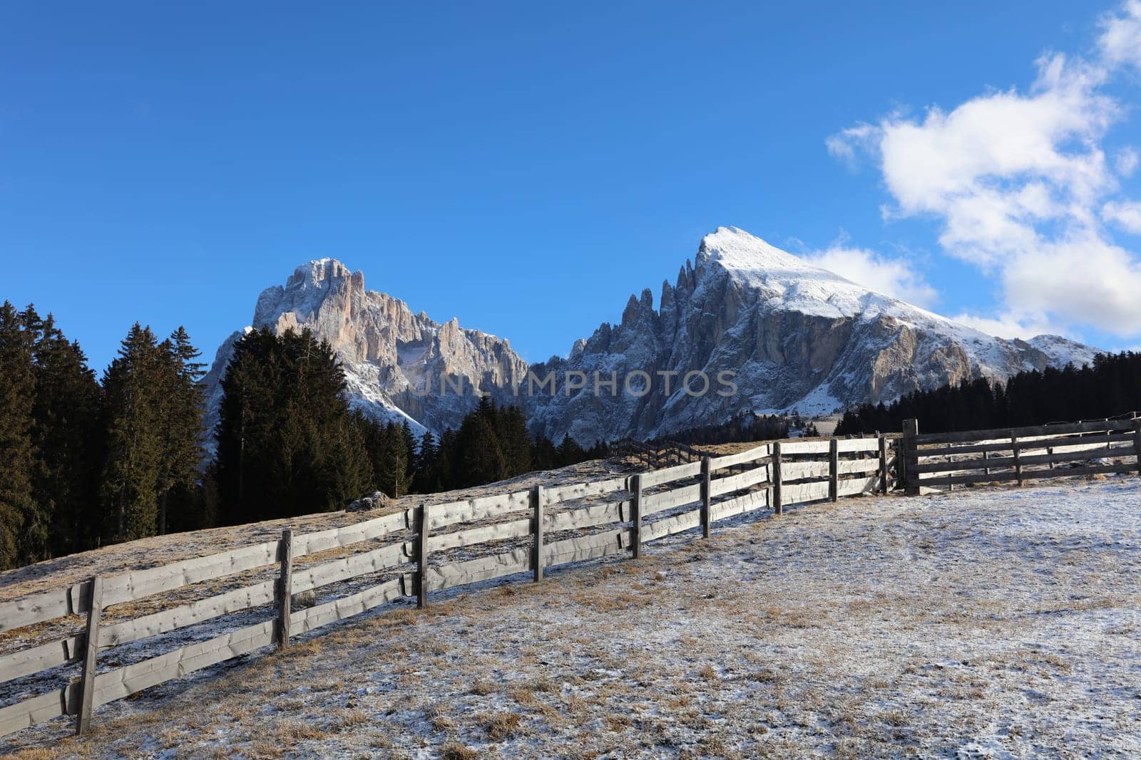 Seiser Alm with Langkofel Group. South Tyrol. Italy