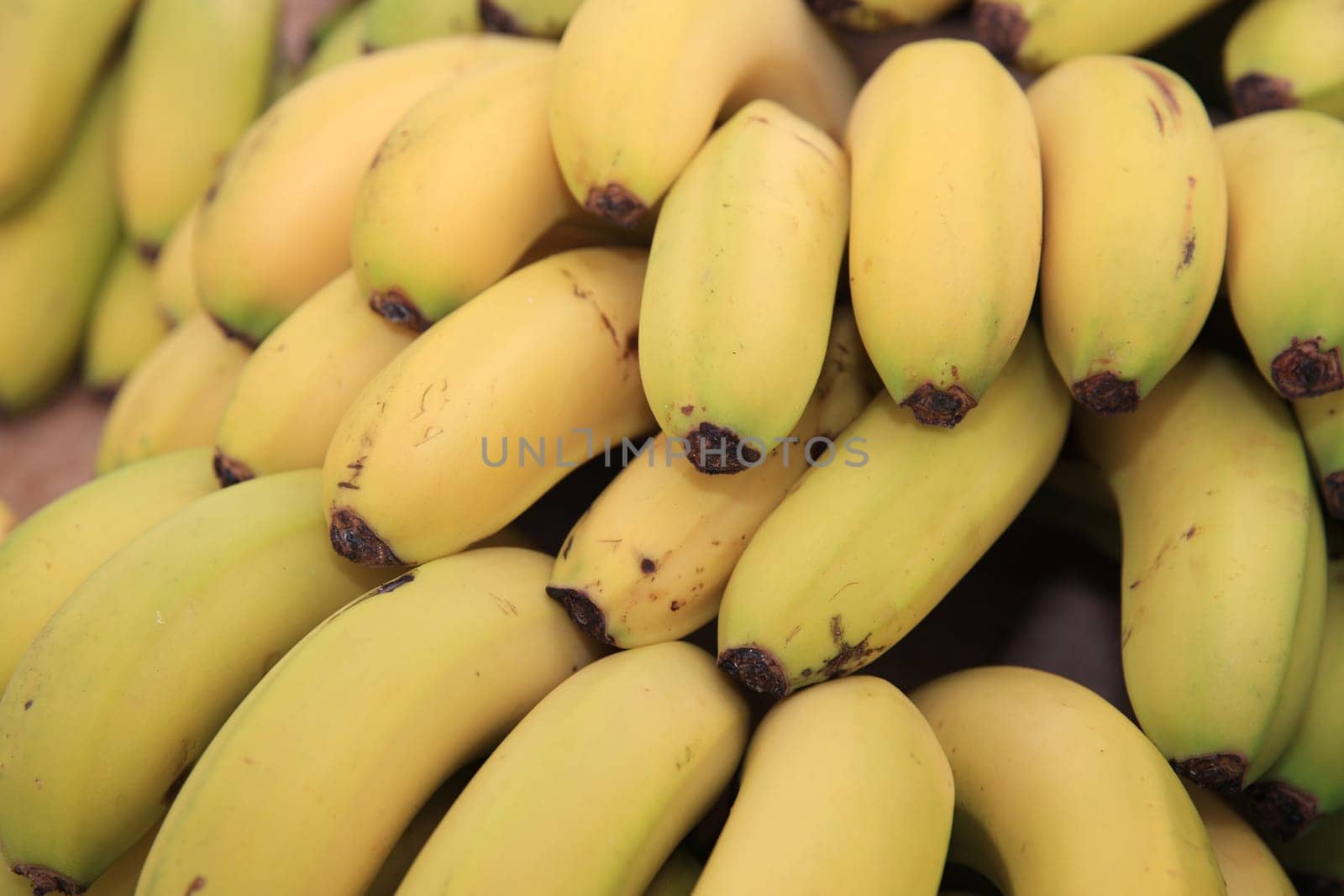 Bananas