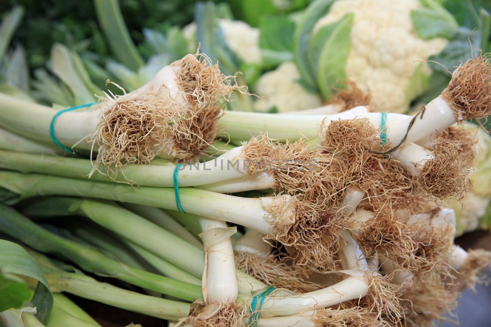 Fresh Spring Onions on Farmers Market in Madrid. Spain