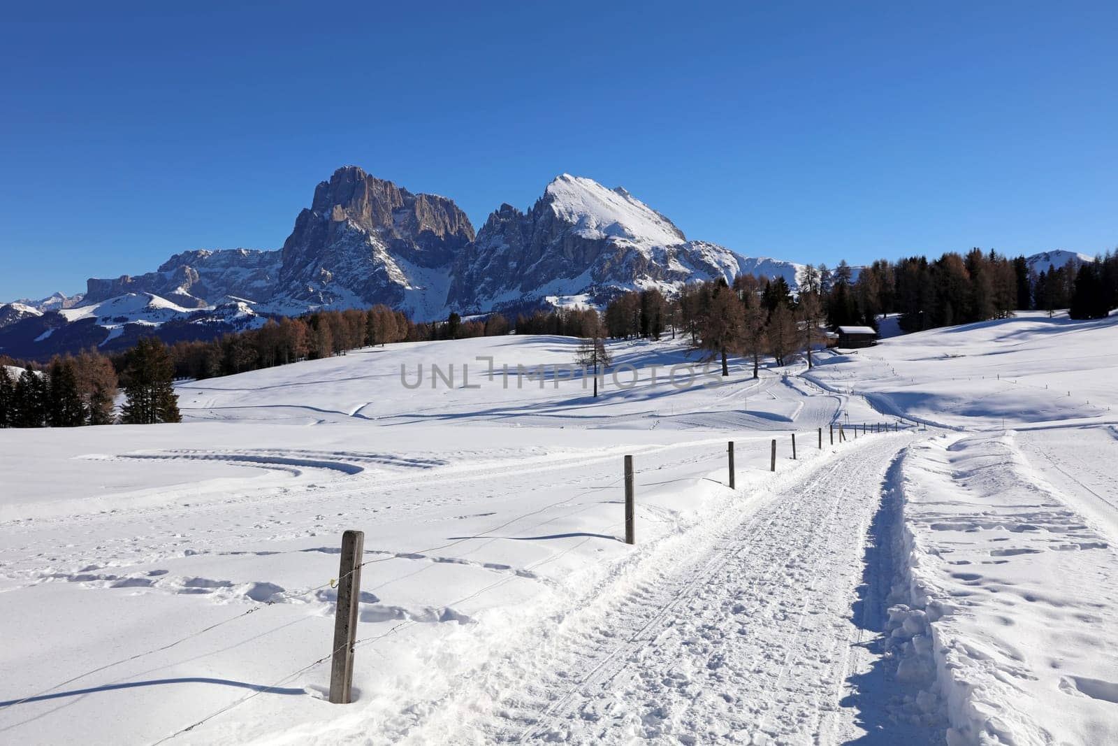 Seiser Alm with Langkofel Group. South Tyrol. Italy