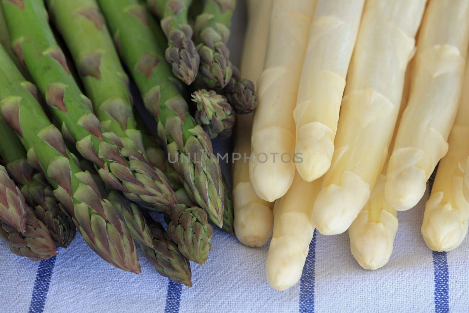 Green and White Asparagus