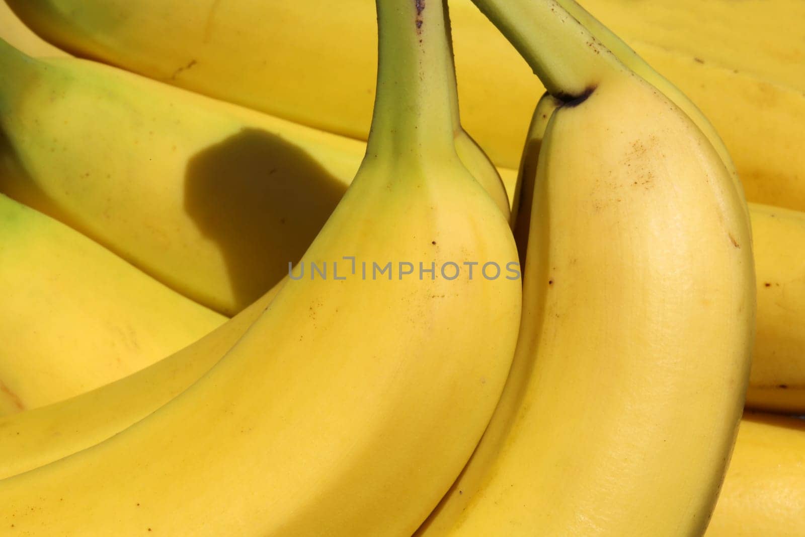 Bananas