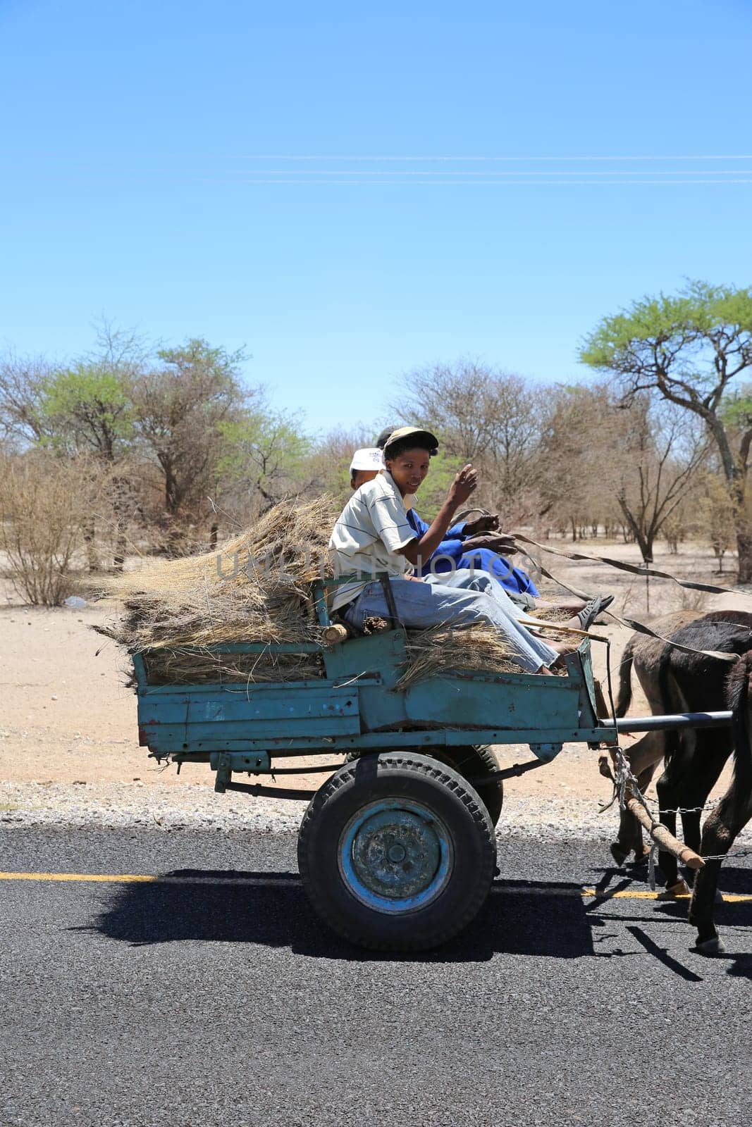 African Family (Father with his sons) on Donkey Cart on the Highway A3 near Ghanzu. Botswana