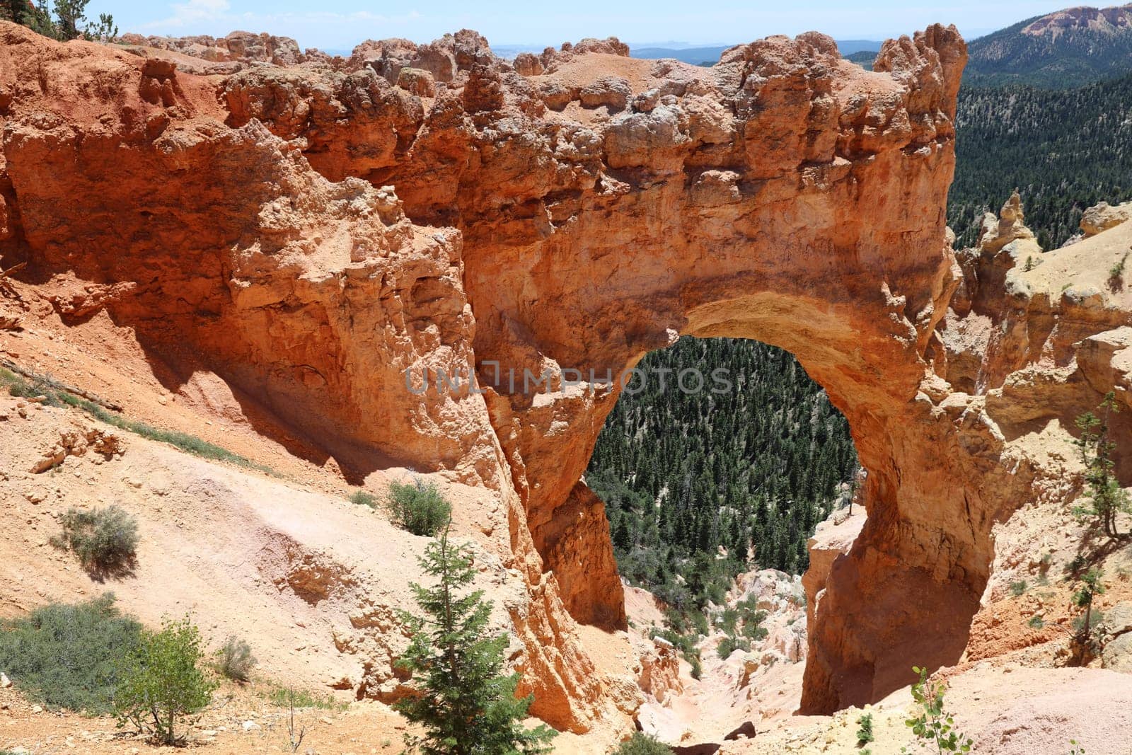 Natural Bridge in Bryce Canyon National Park in Utah. USA
