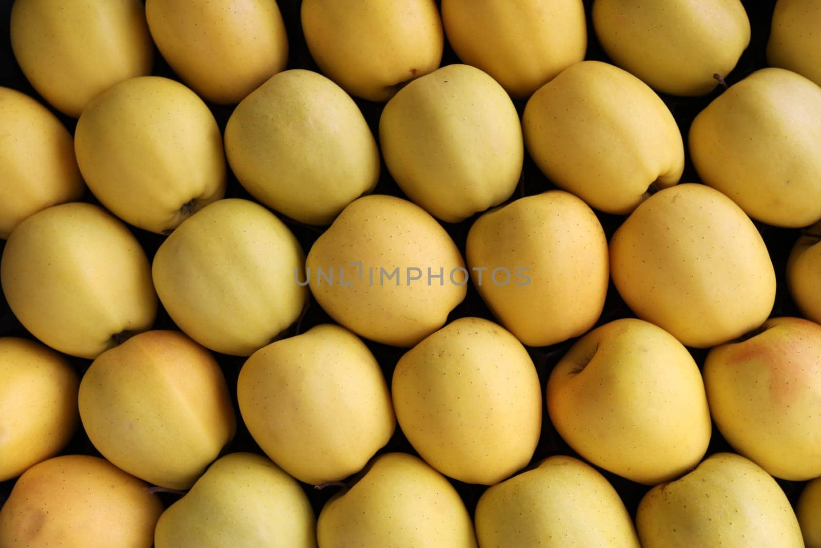 Golden Delicious Apples