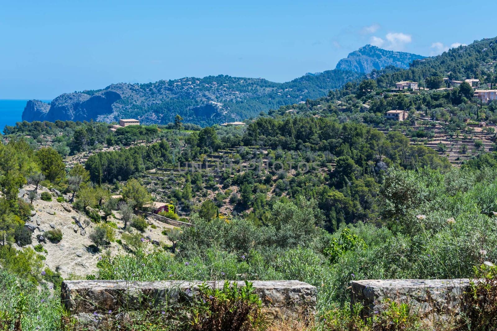 Wild West Coastline of Mallorca, Spain in the background the Mediterranean Sea.