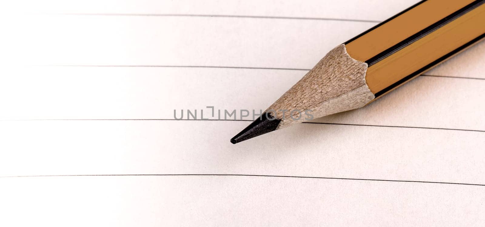 The Pencil tip on white lined paper. Selective focus