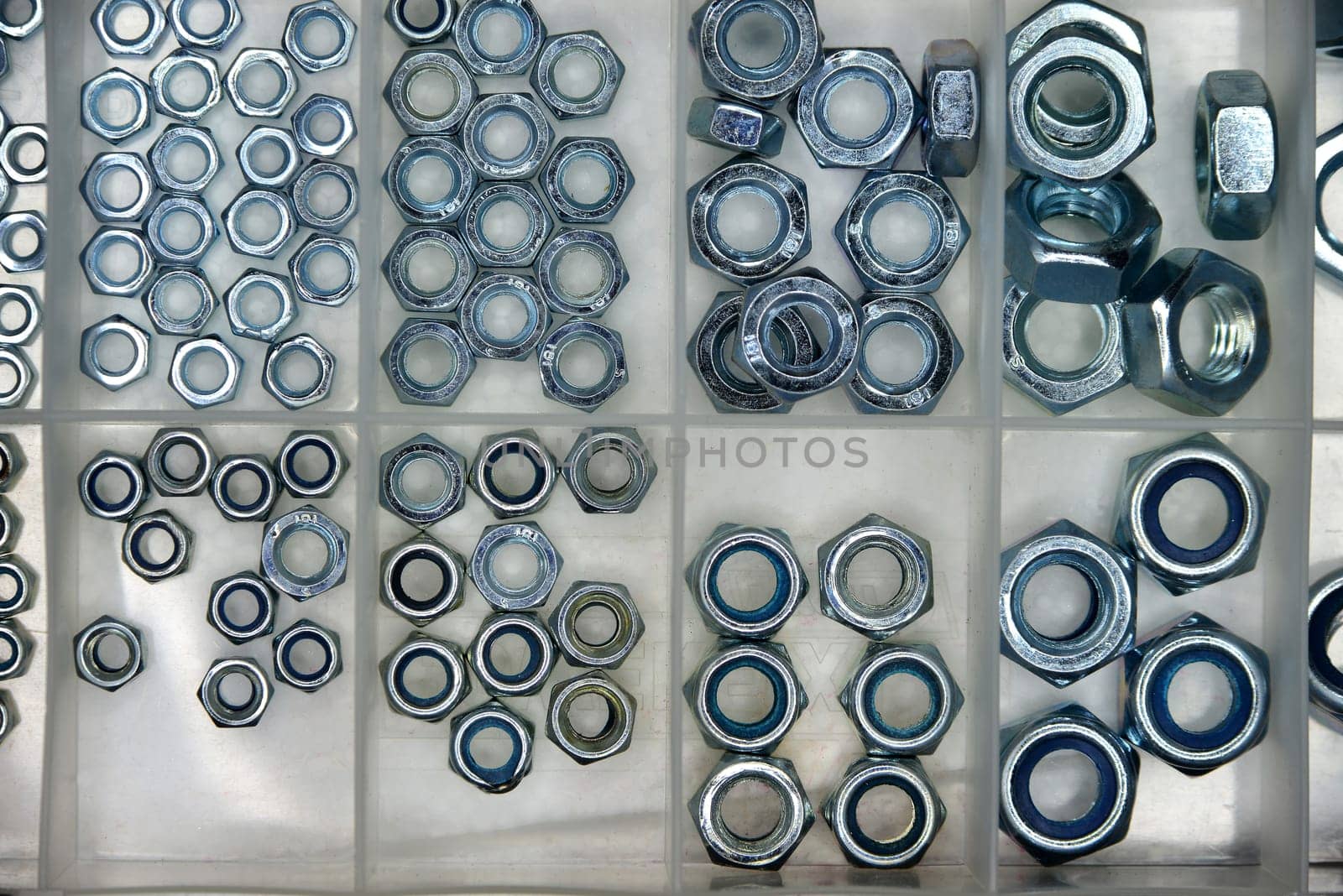 nuts in different sizes in a box