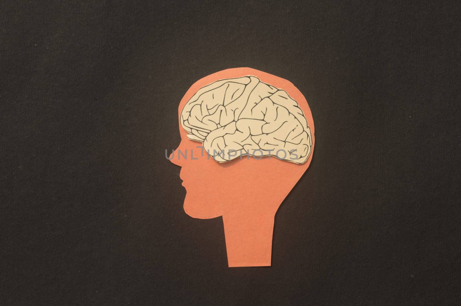 Paper Human brain in a silhouette head illustration. Thinking idea and creative mind.