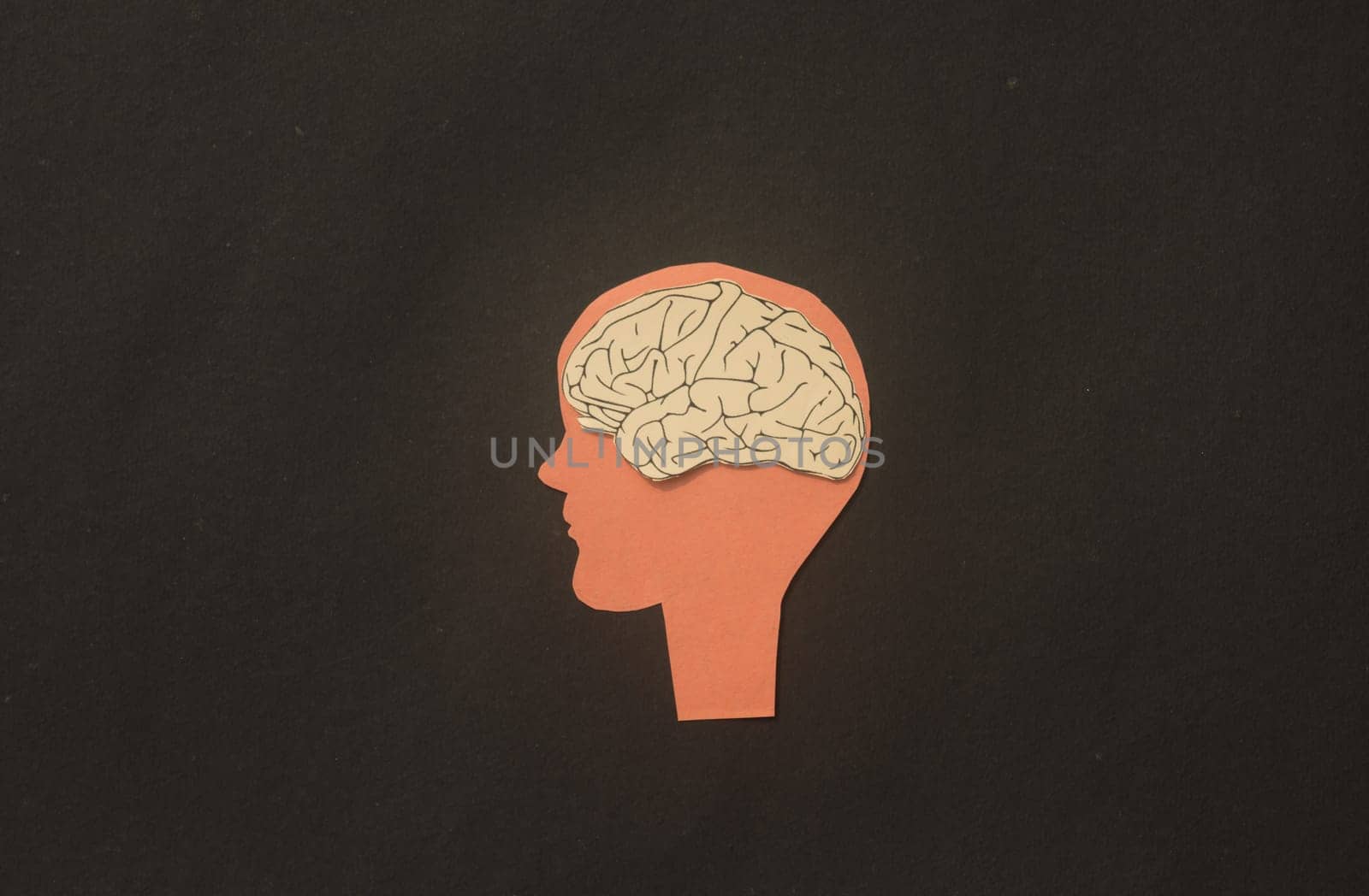 Paper Human brain in a silhouette head illustration. Thinking idea and creative mind.