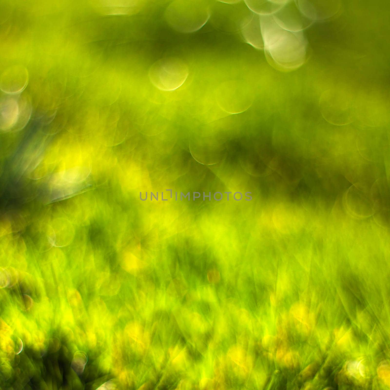 Abstract Nature Background - fresh green grass. Soft Focus.