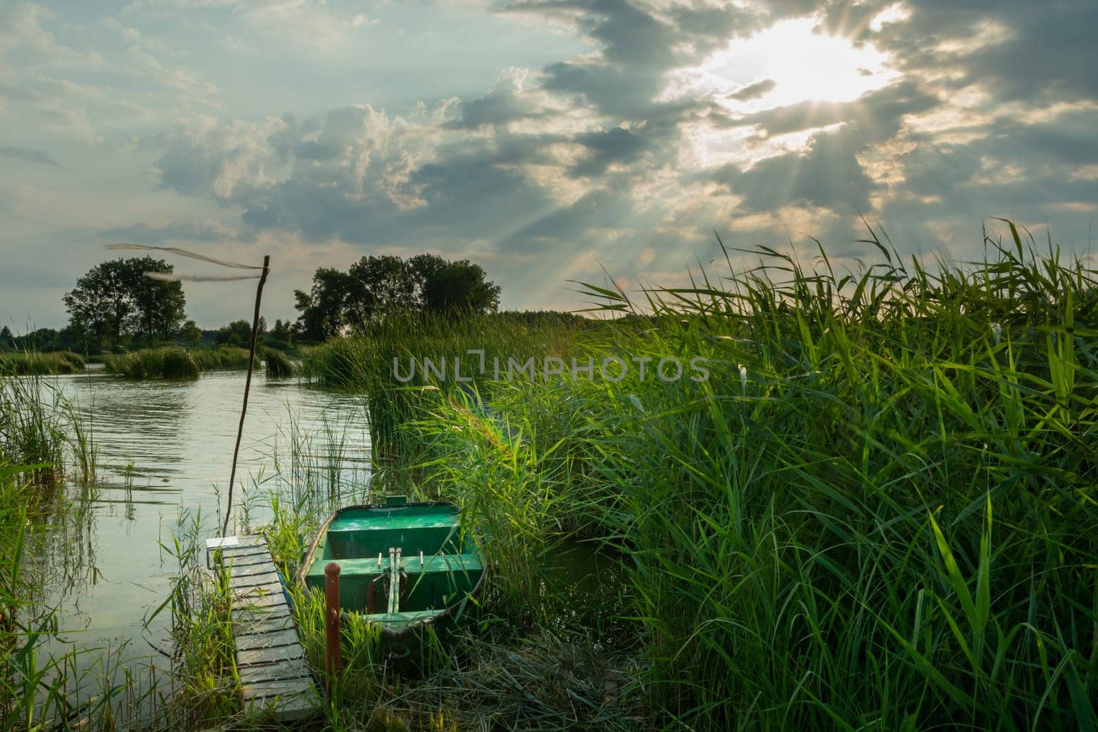 A boat in the reeds and the sun's rays, Stankow, Lubelskie, Poland