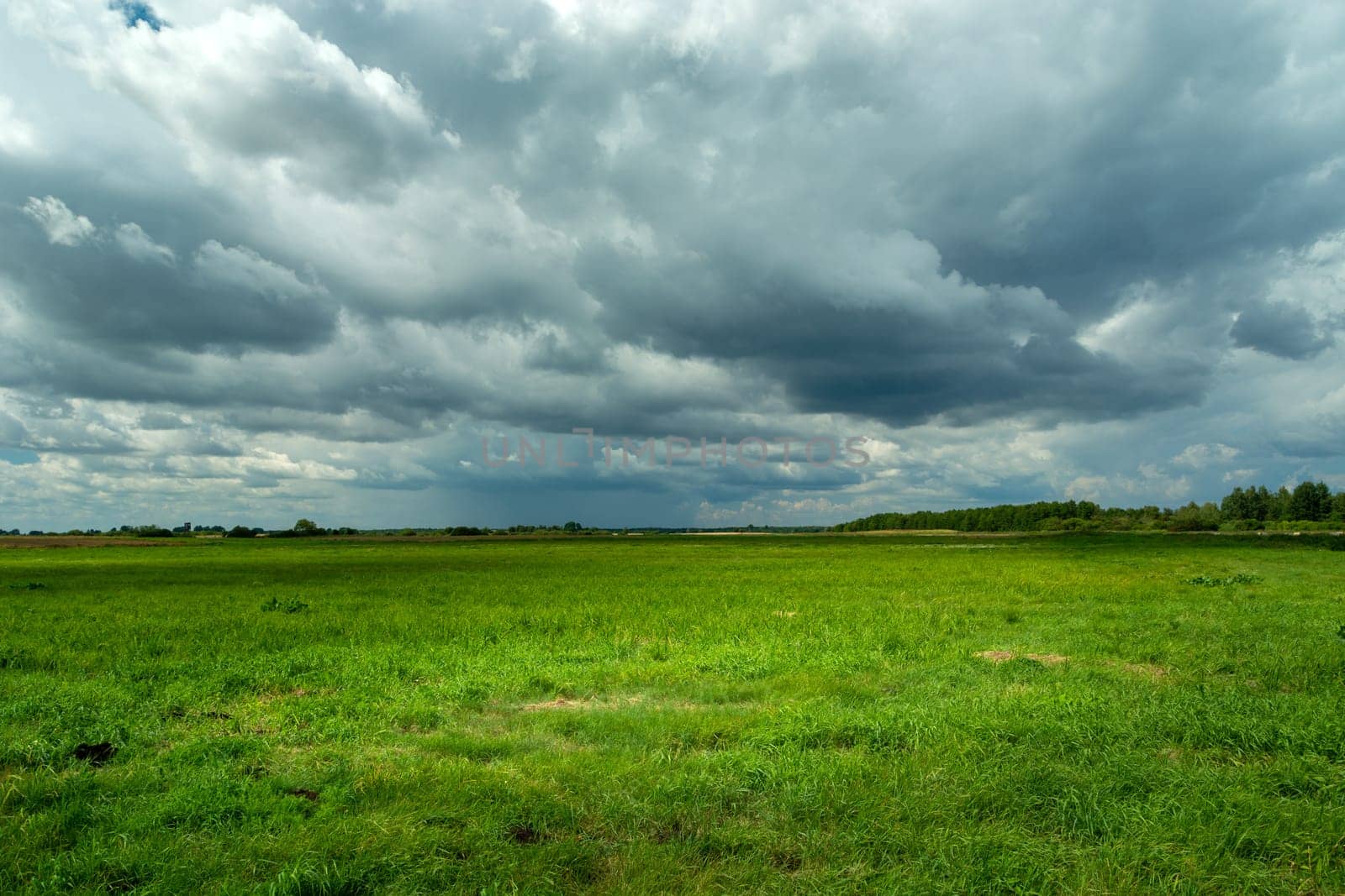 Cloud with rain on the horizon and green meadow, summer view
