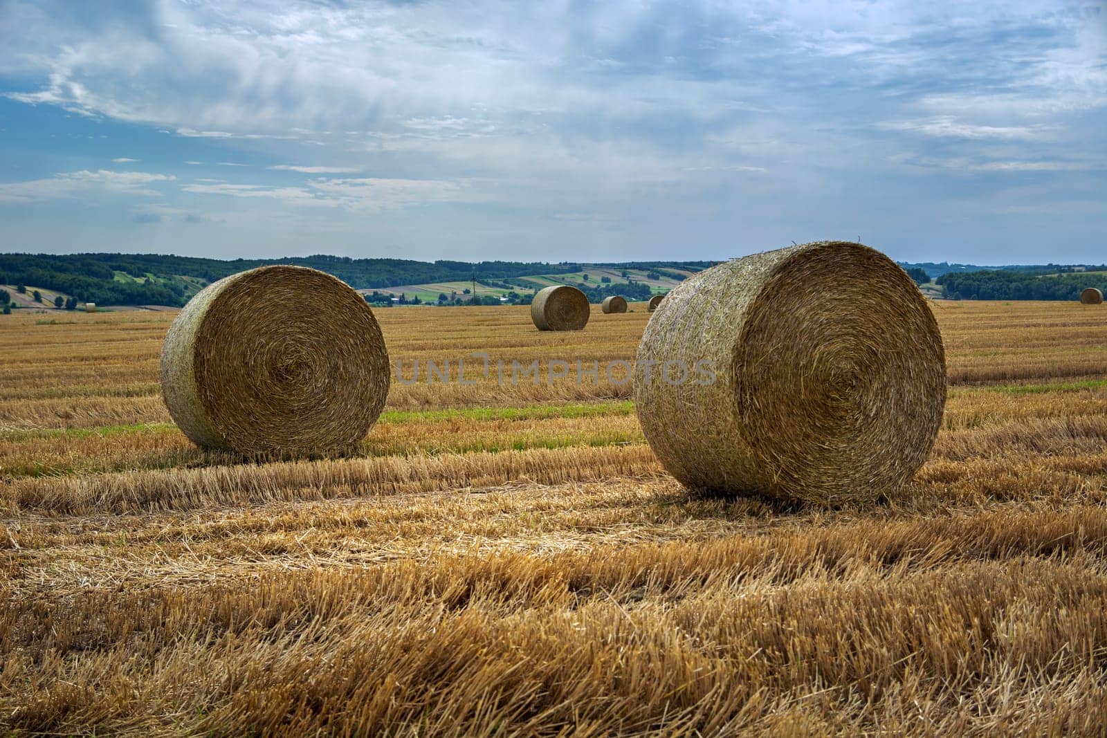 Huge bales of hay in the stubble, Ostrzyca, Lubelskie, Poland