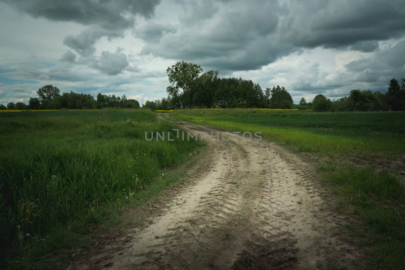 Dirt road through fields and dark clouds, spring day