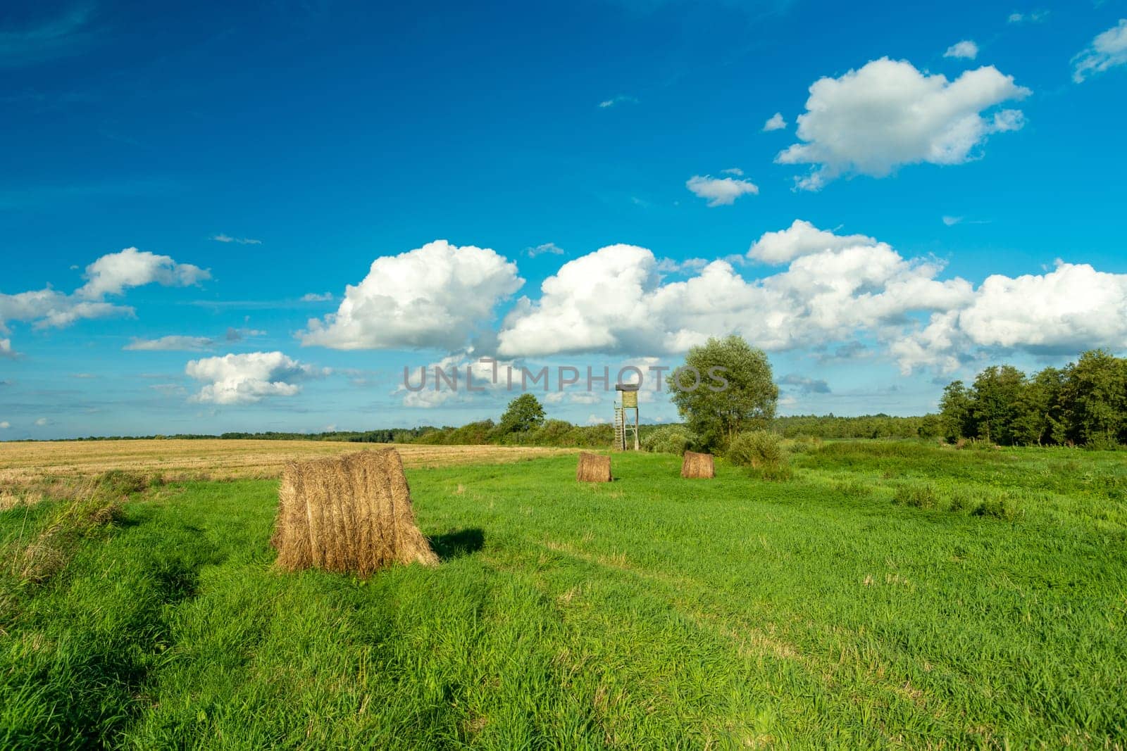 Hay in the meadow and clouds on the sky, Zarzecze, Lubelskie, Poland