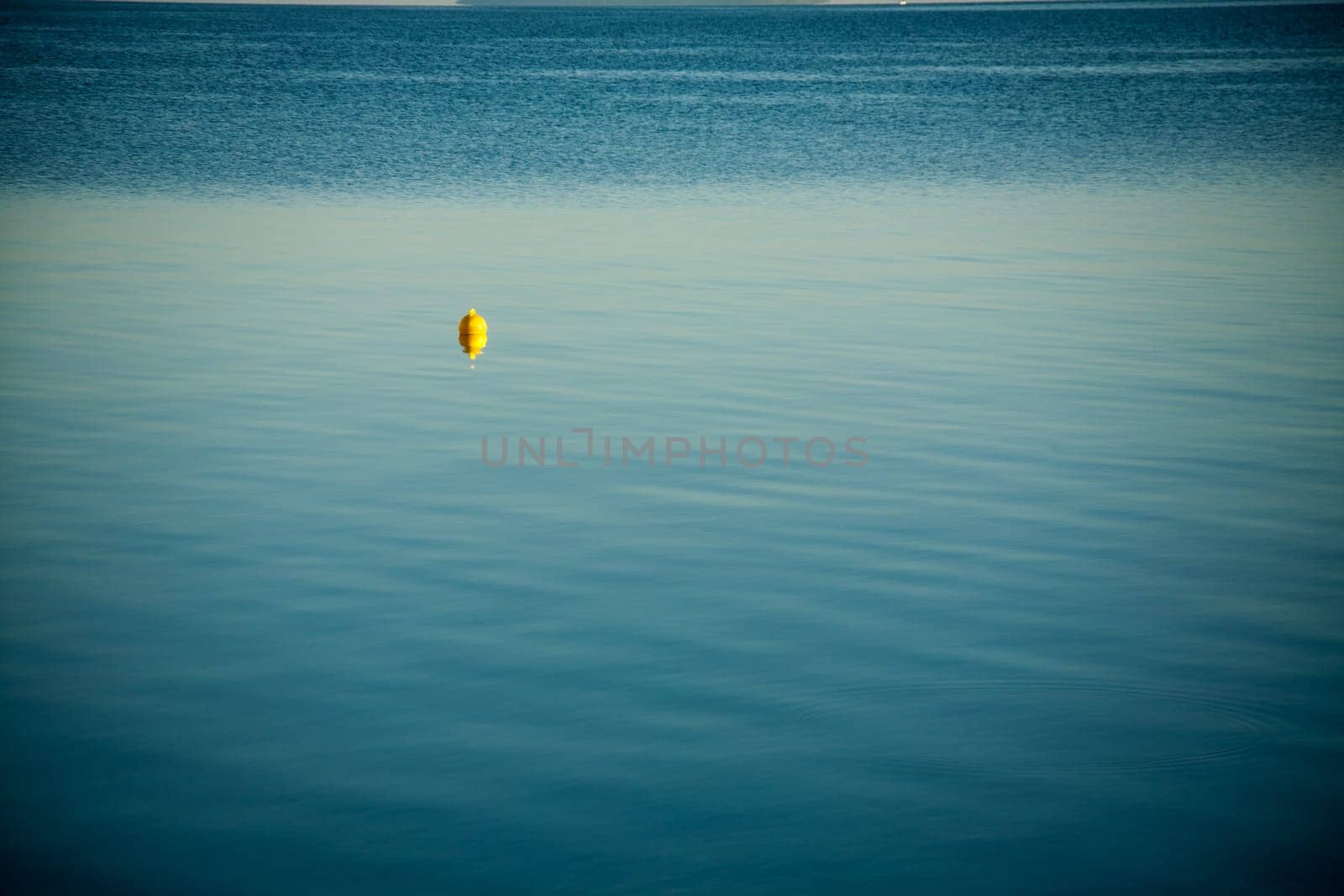 Yellow boa surrounded by blue sea.