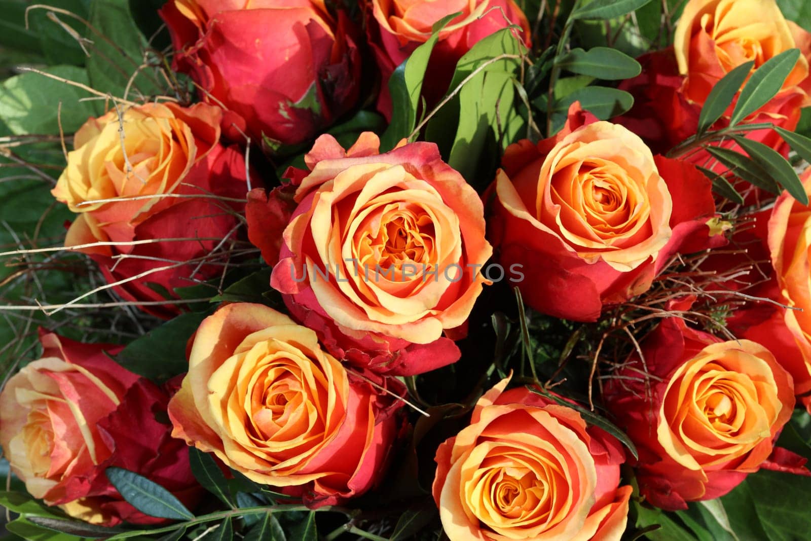 Bouquet of wonderful red Roses