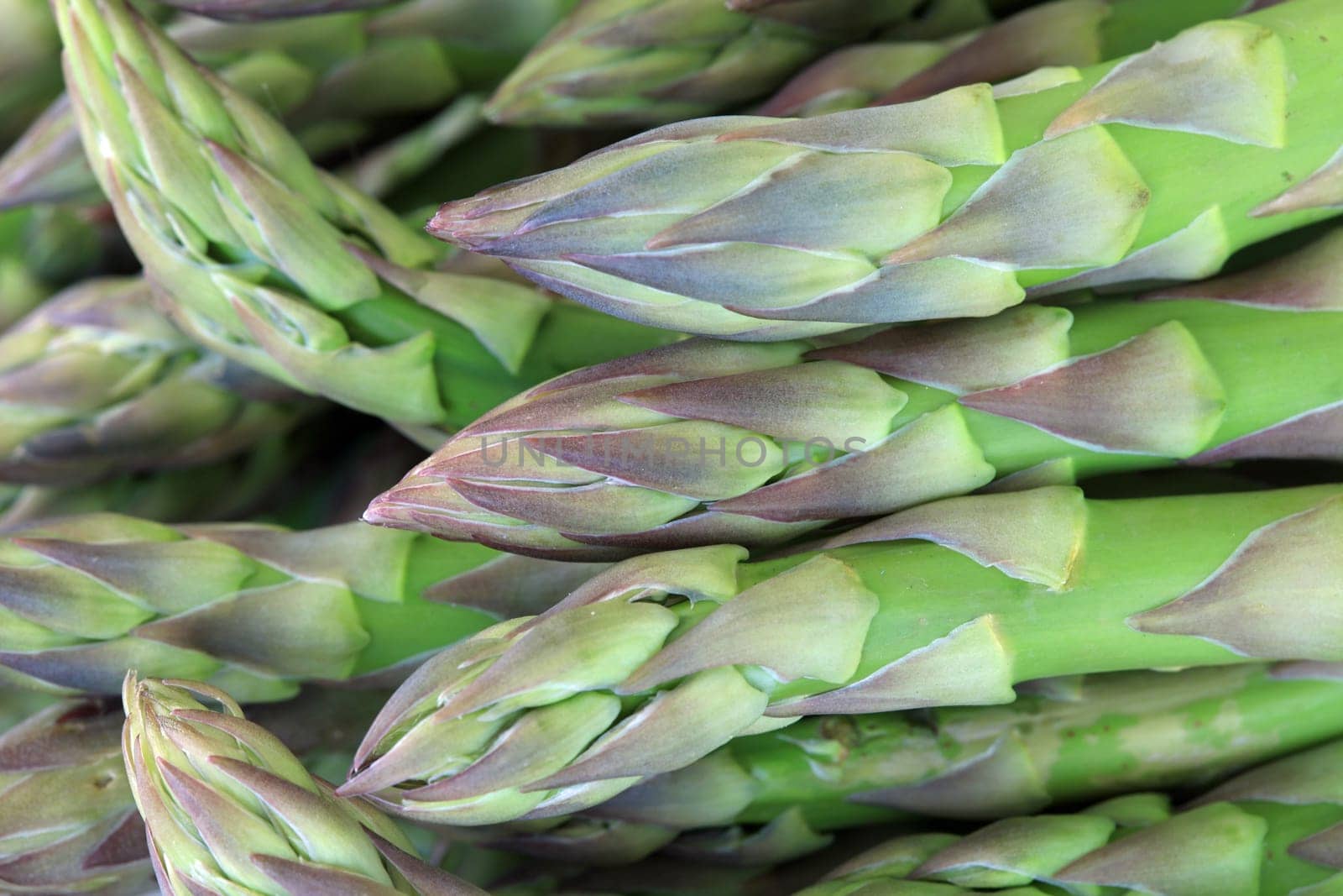 Green Asparagus
