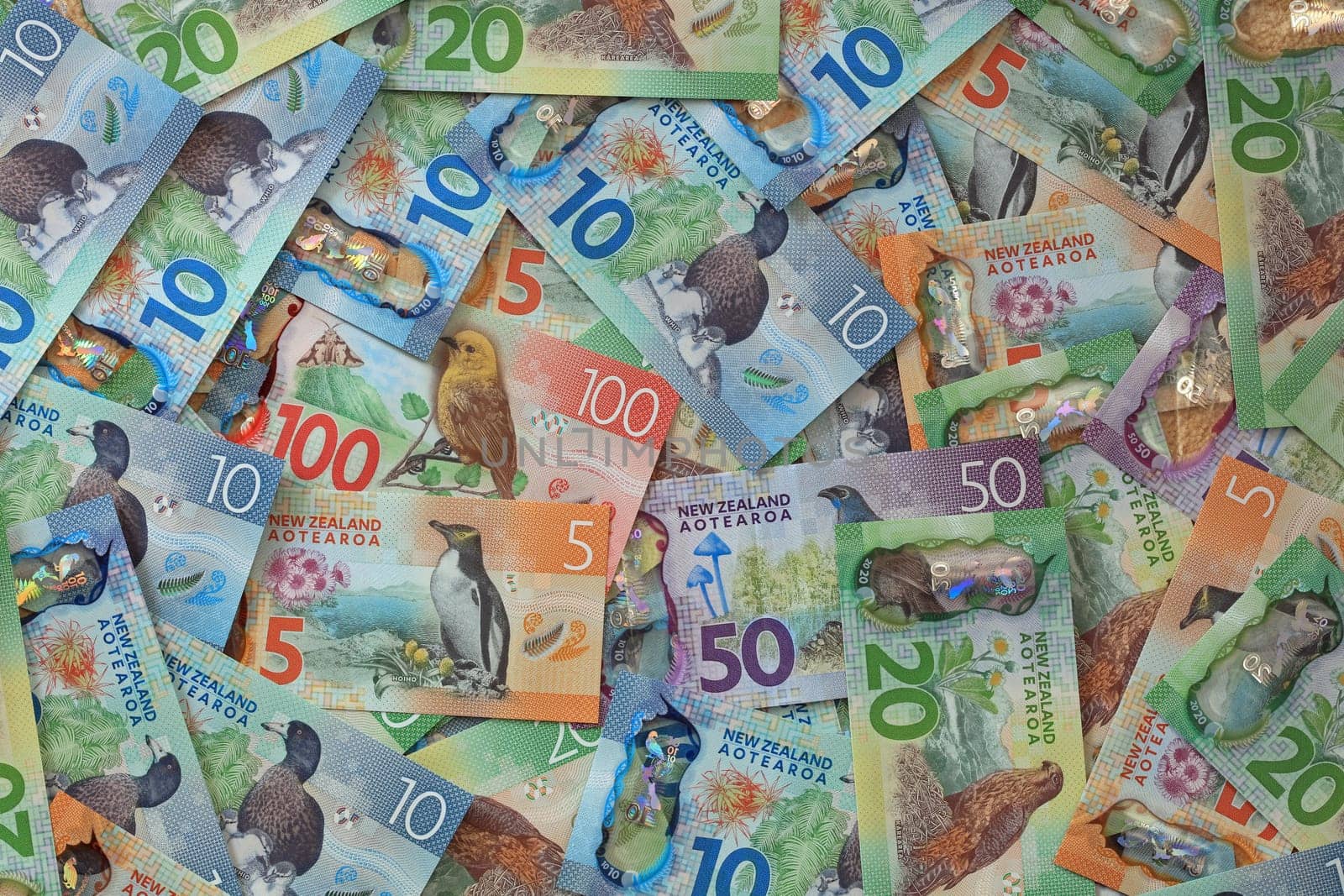 New Zealand Dollar Banknotes