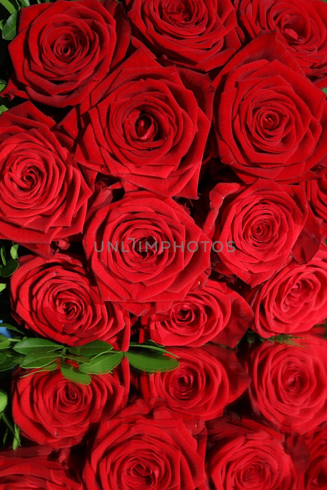 Bouquet of wonderful red Roses