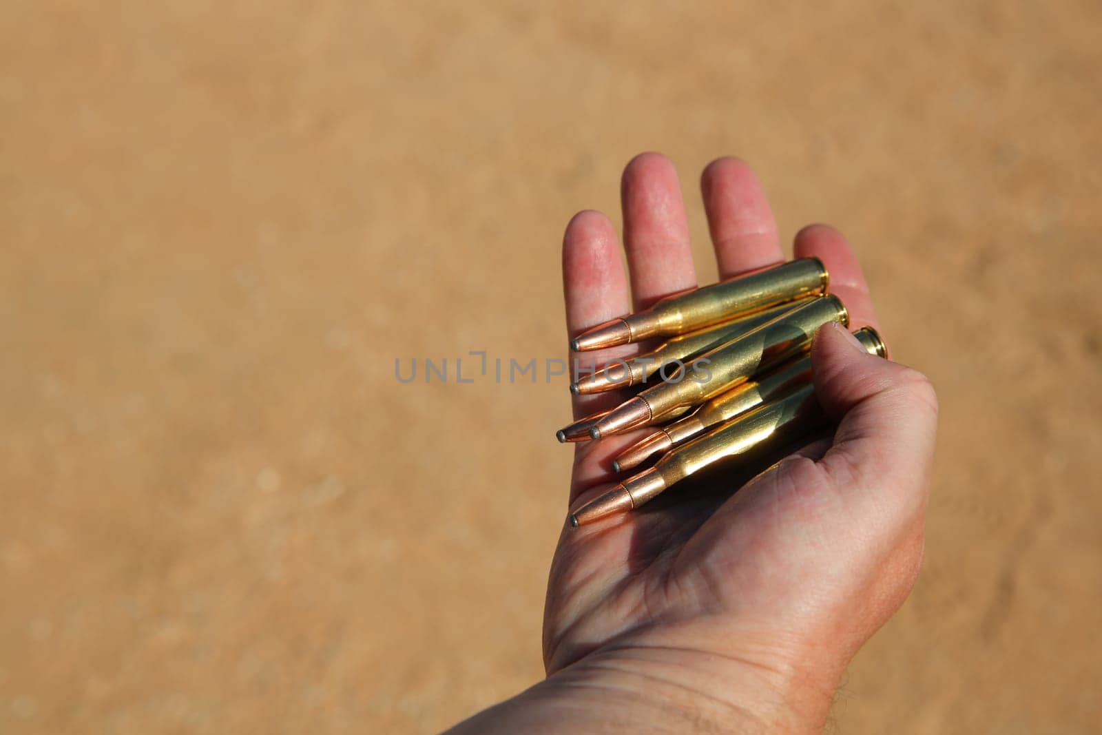 Bullets, Ammunition for Hunting. Namibia