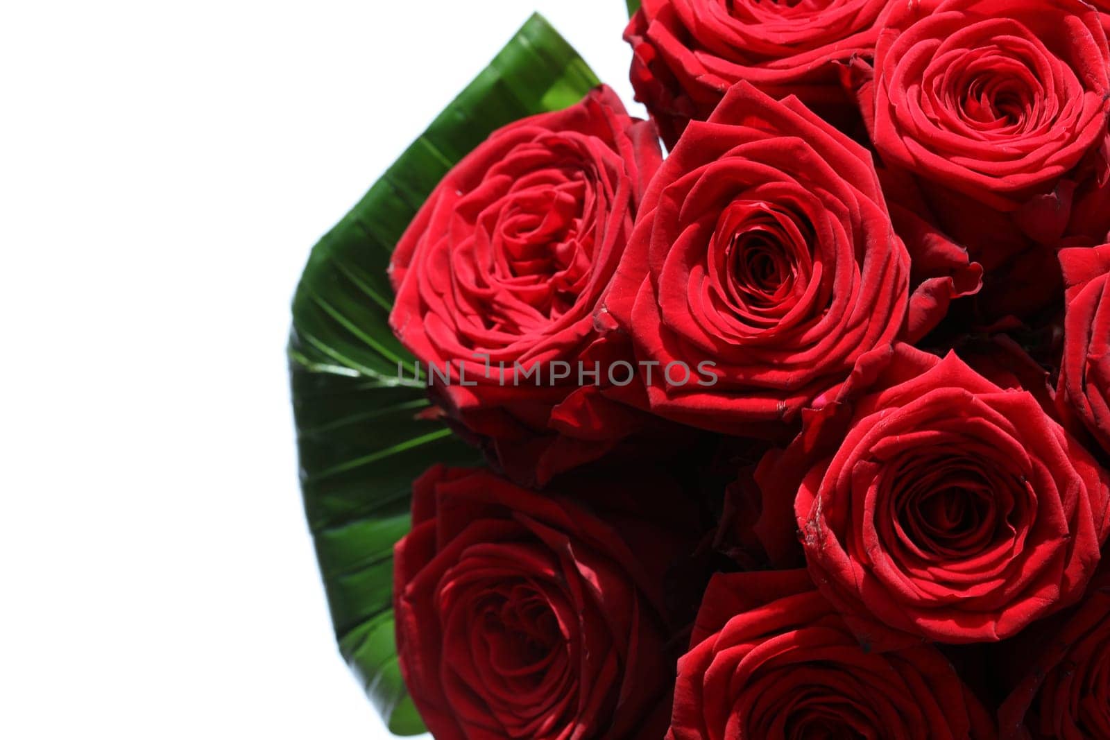 Bouquet of wonderful red Roses
