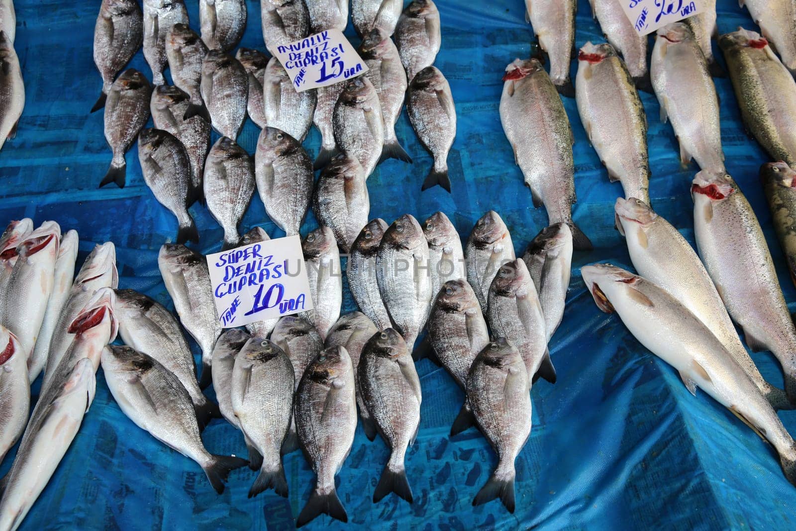 Fish Market in Istanbul. Turkey