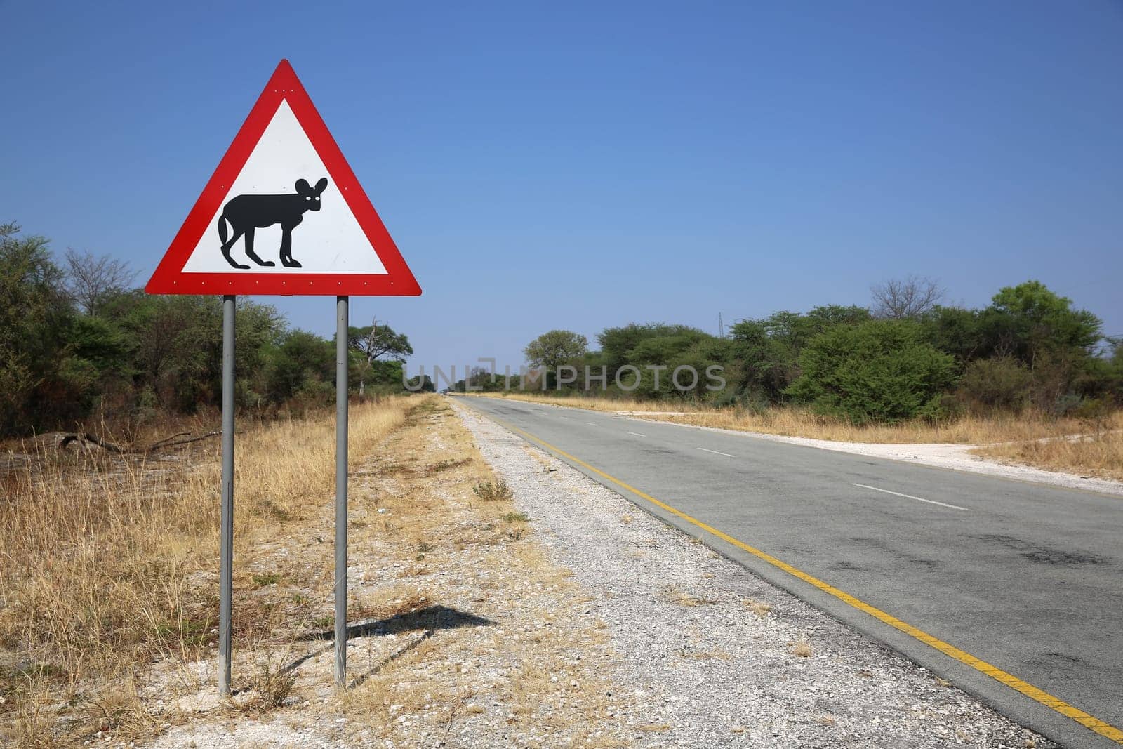 Road Warning Sign in Namibia
