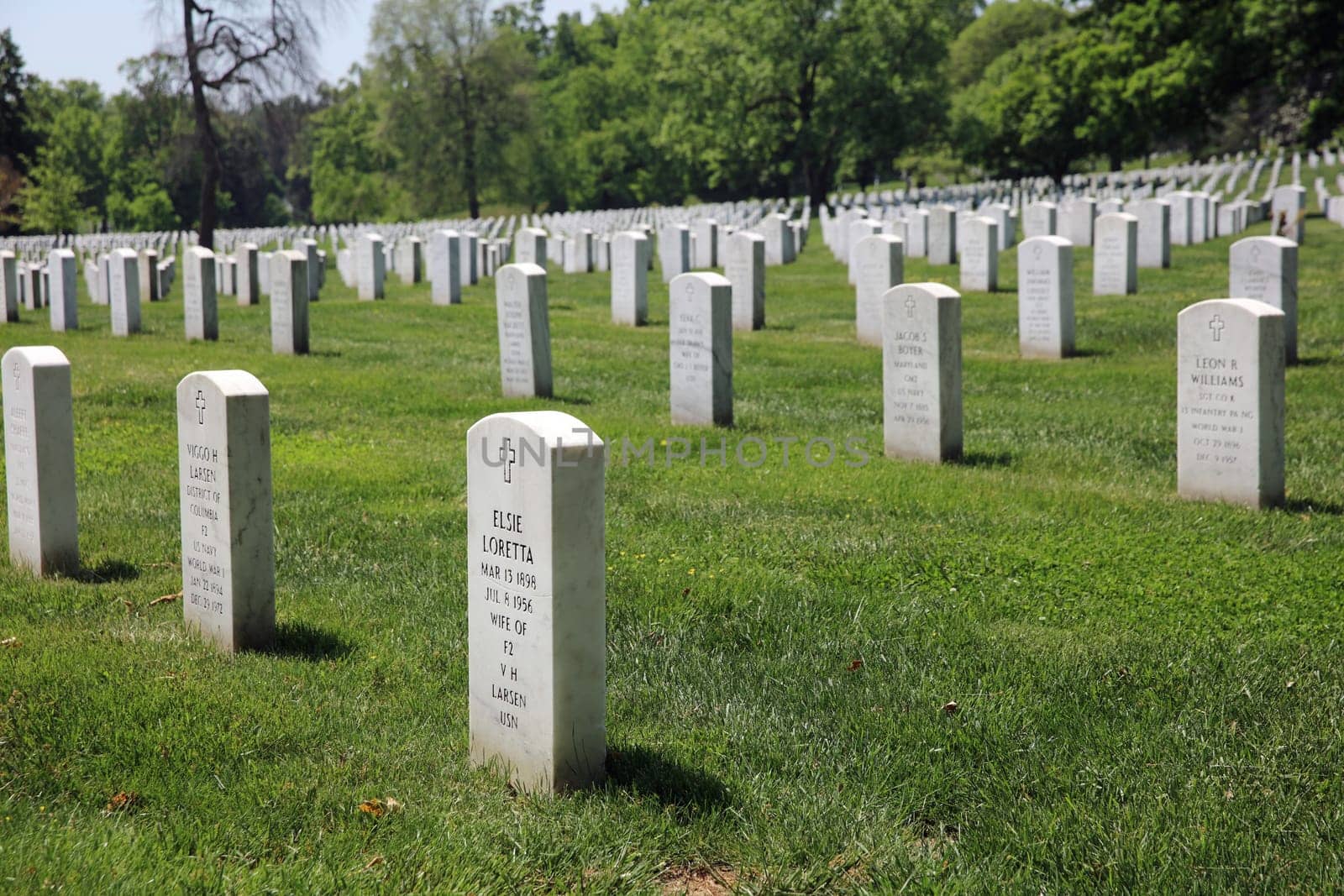 Rows of Tombstones at Arlington National Cemetery. Virginia. USA