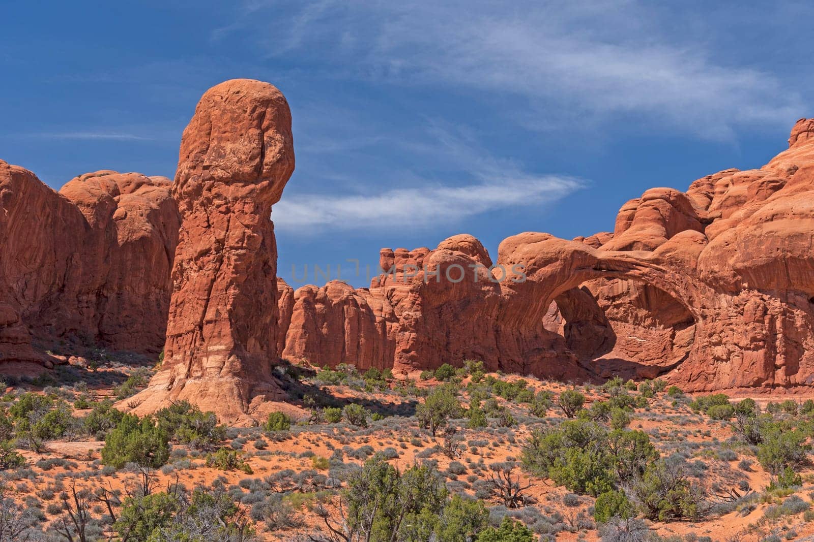 Arches and Pinnacles in the Desert in the Windows Section of Arches National Park in Utah