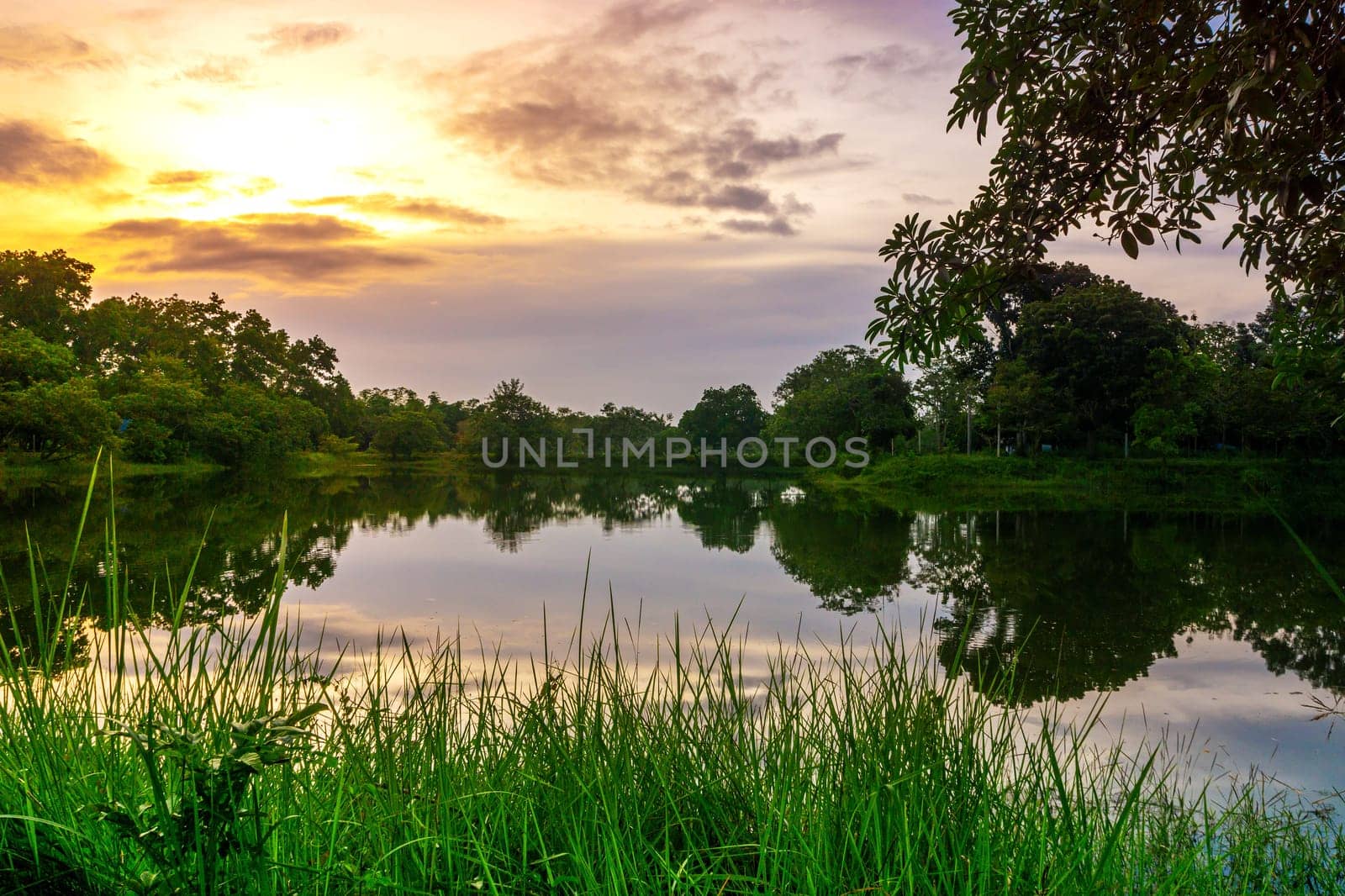 View of Colorful dramatic sky sunset or sunrise with clouds background on Water River in Forest, Sky with cloud in nature and travel concept.