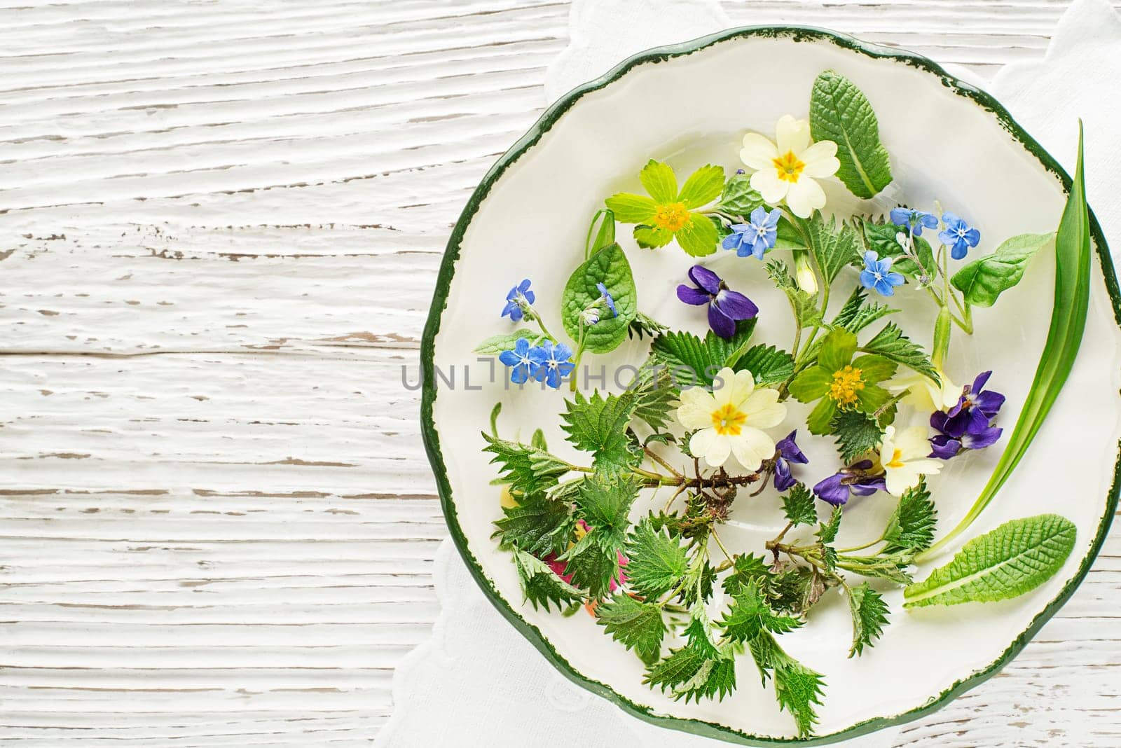 Healthy spring plants food ingredients. Dandelion, wild garlic, flowers and nettle on plate