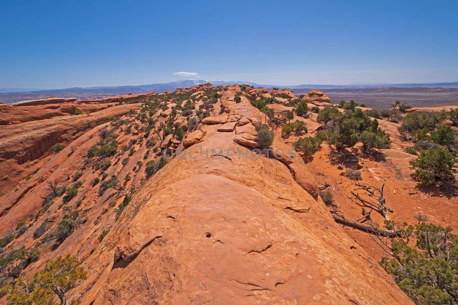 Trail on a Narrow Sandstone Ridge in Arches National park in Utah
