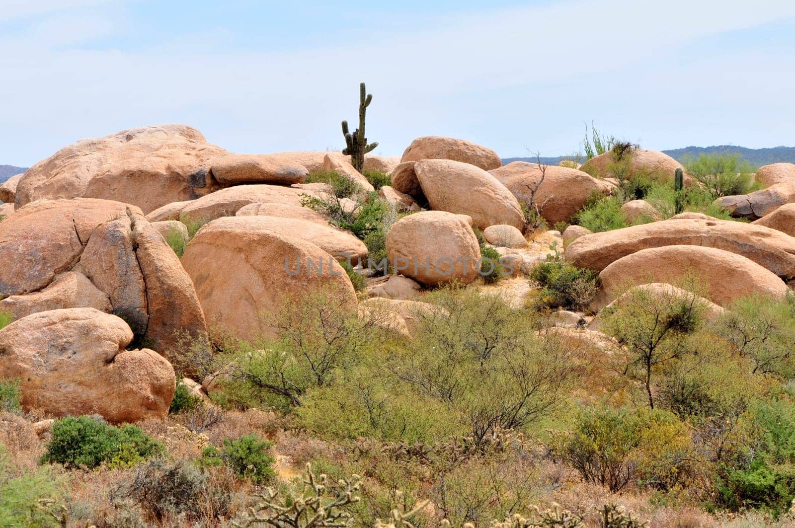Large boulders and saguaro cactus in the Sonora desert in central Arizona USA