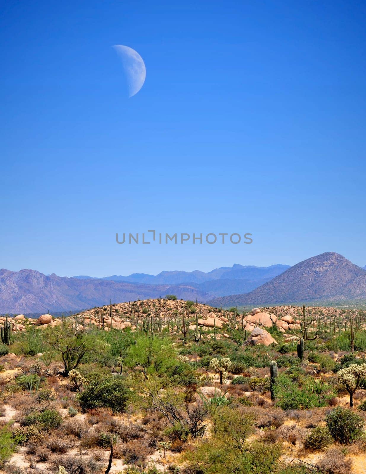 Desert moon over the southwestern USA desert and mountains